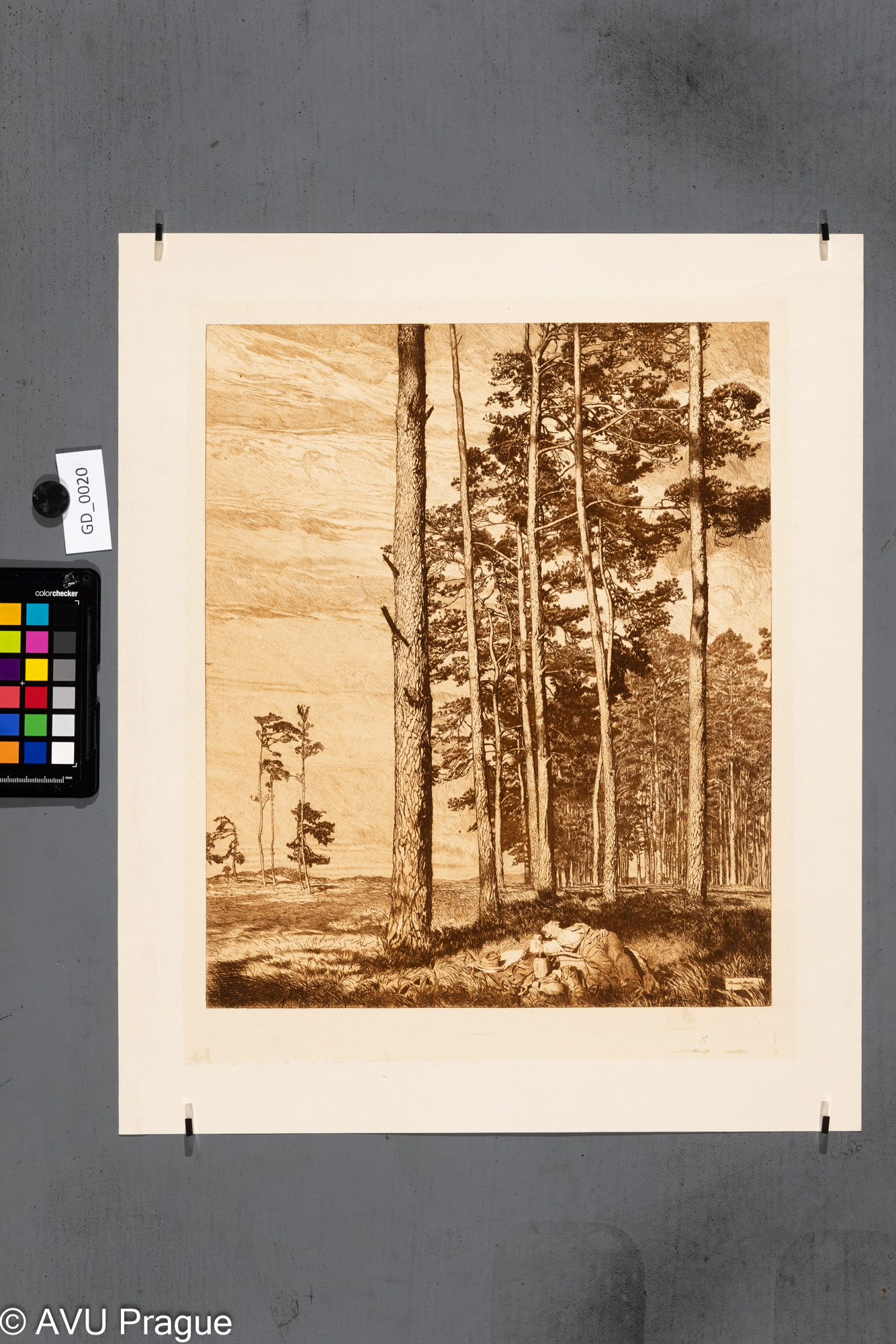 Heinrich Hönich, Odpočiněk v sosnovém lese, 1915, Lept, 41 x 33papír - 49,1 x 44, Hönich- Oden an die Natur III