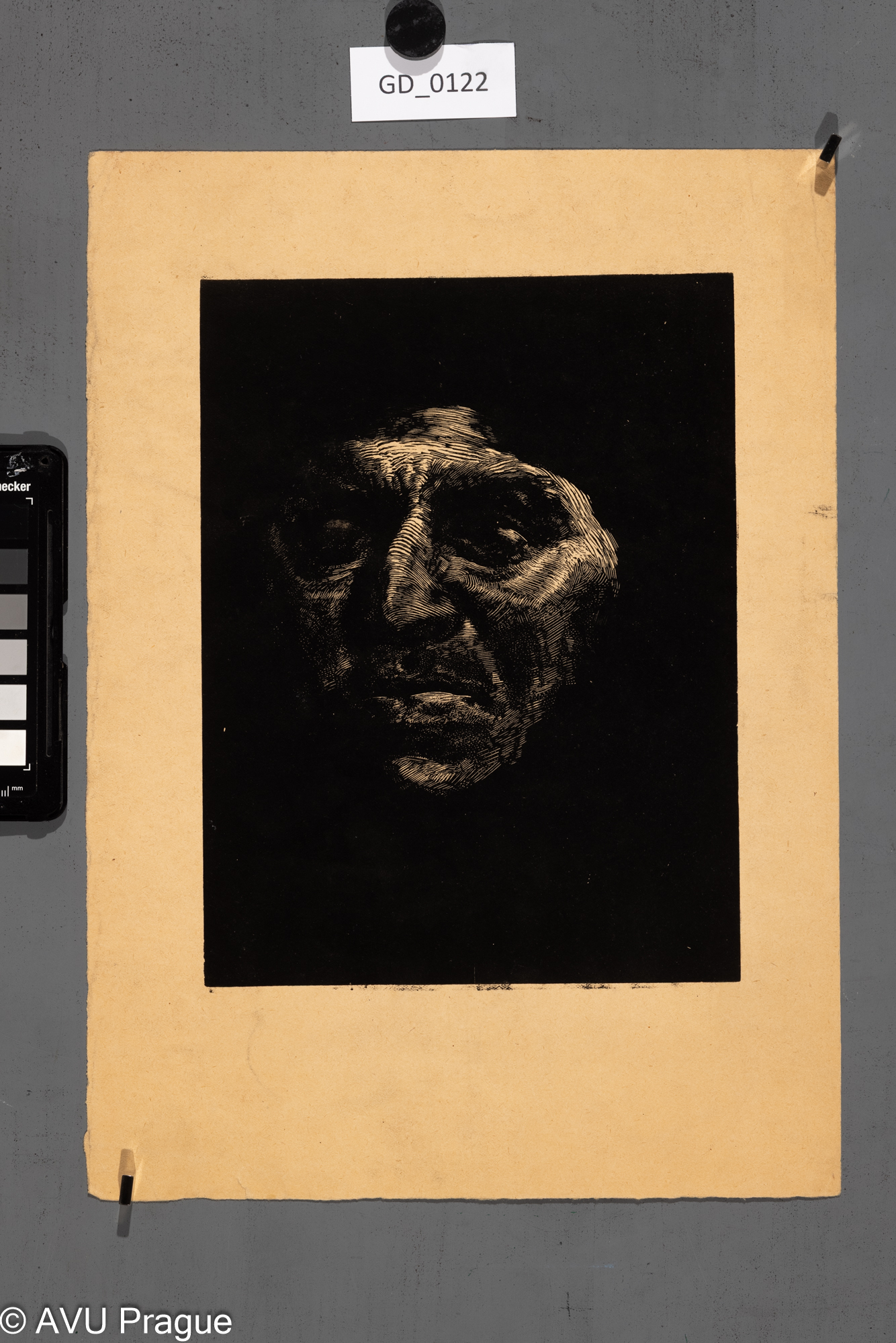 Nezjištěn; Tvář starce; Dřevoryt;23,6 x 17,9; 35 x 25