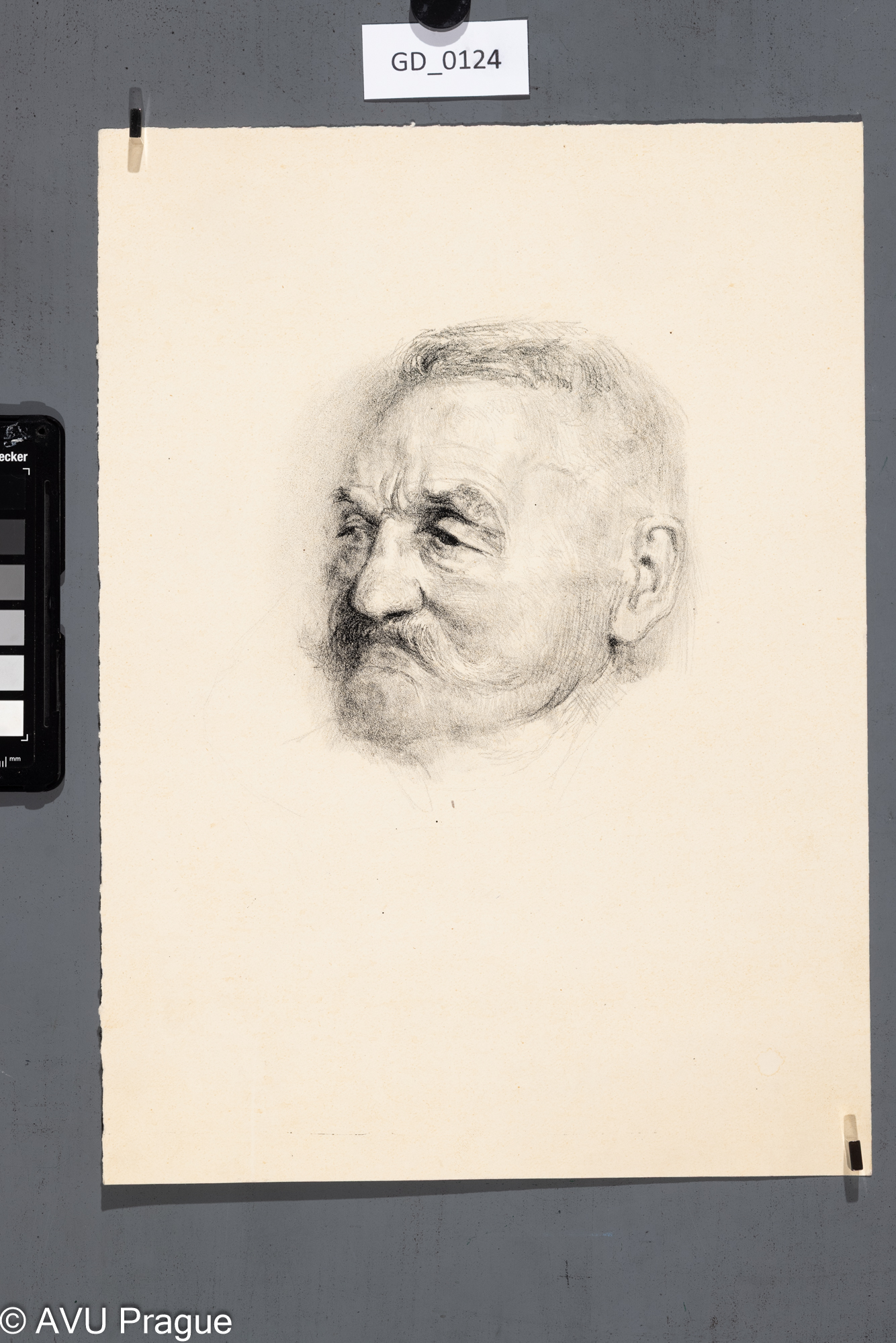 Nezjištěn;Hlava muže s knírem;Litografie; 35 x 25,5