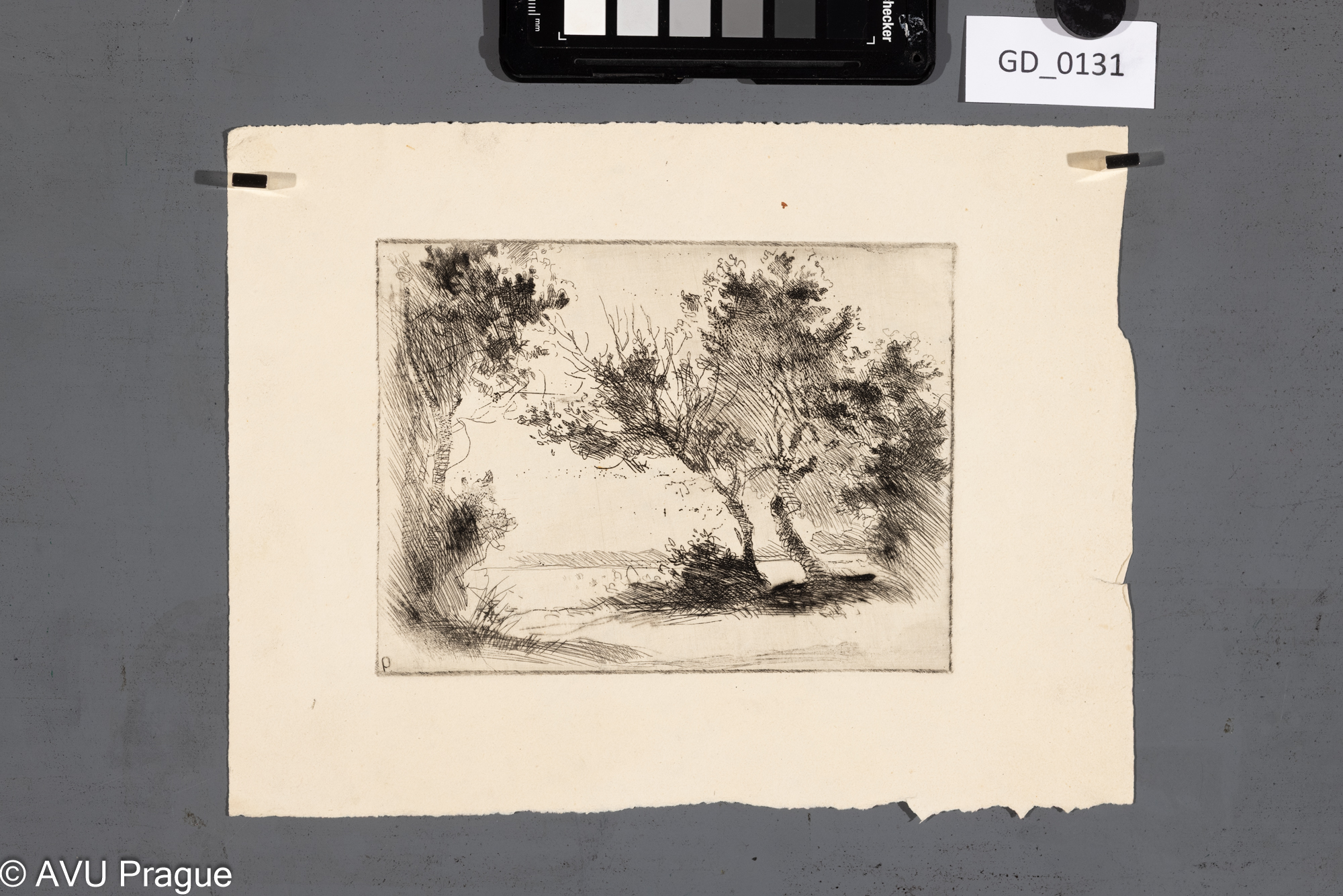 Nezjištěn; Krajina se stromy;Lept; 12,9 x 16,5; 19,9 x 26