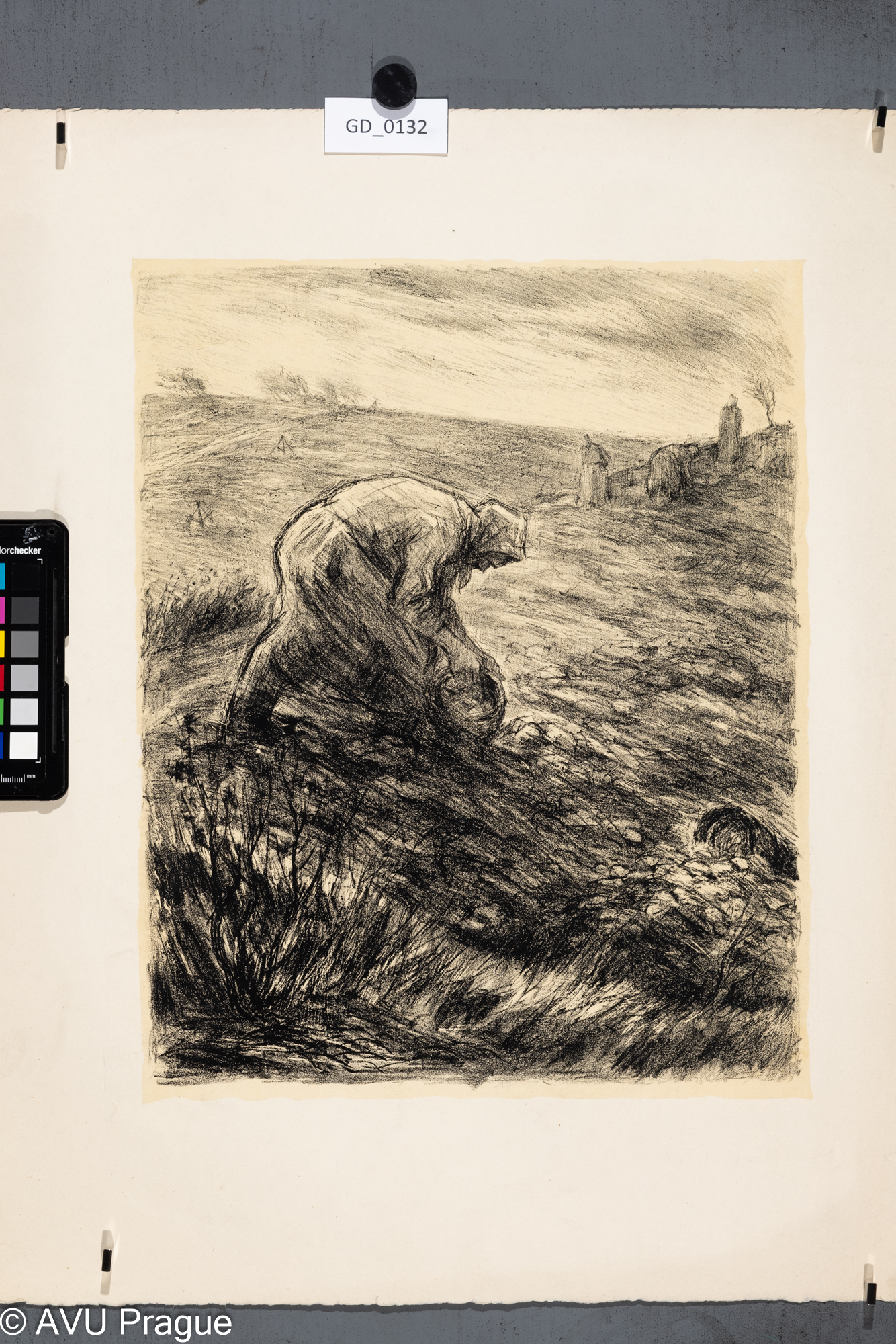 Nezjištěn; Ženy na poli;Litografie - podtisk; 37,7 x 31,6;53,2 x 42,7