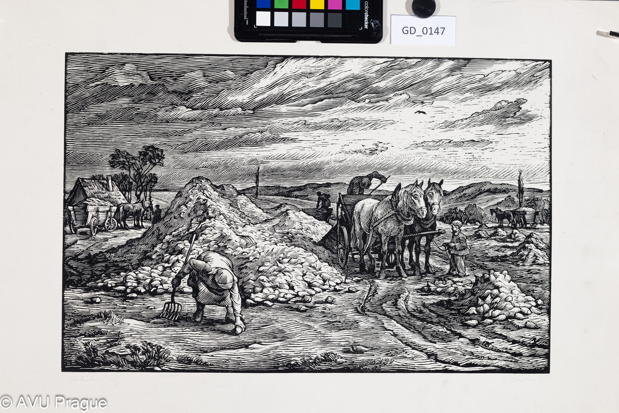 Dalibor Chatrný; Skládání řepy;1952; Dřevoryt; 26,6 x 41; 31,5 x 40; Silovský