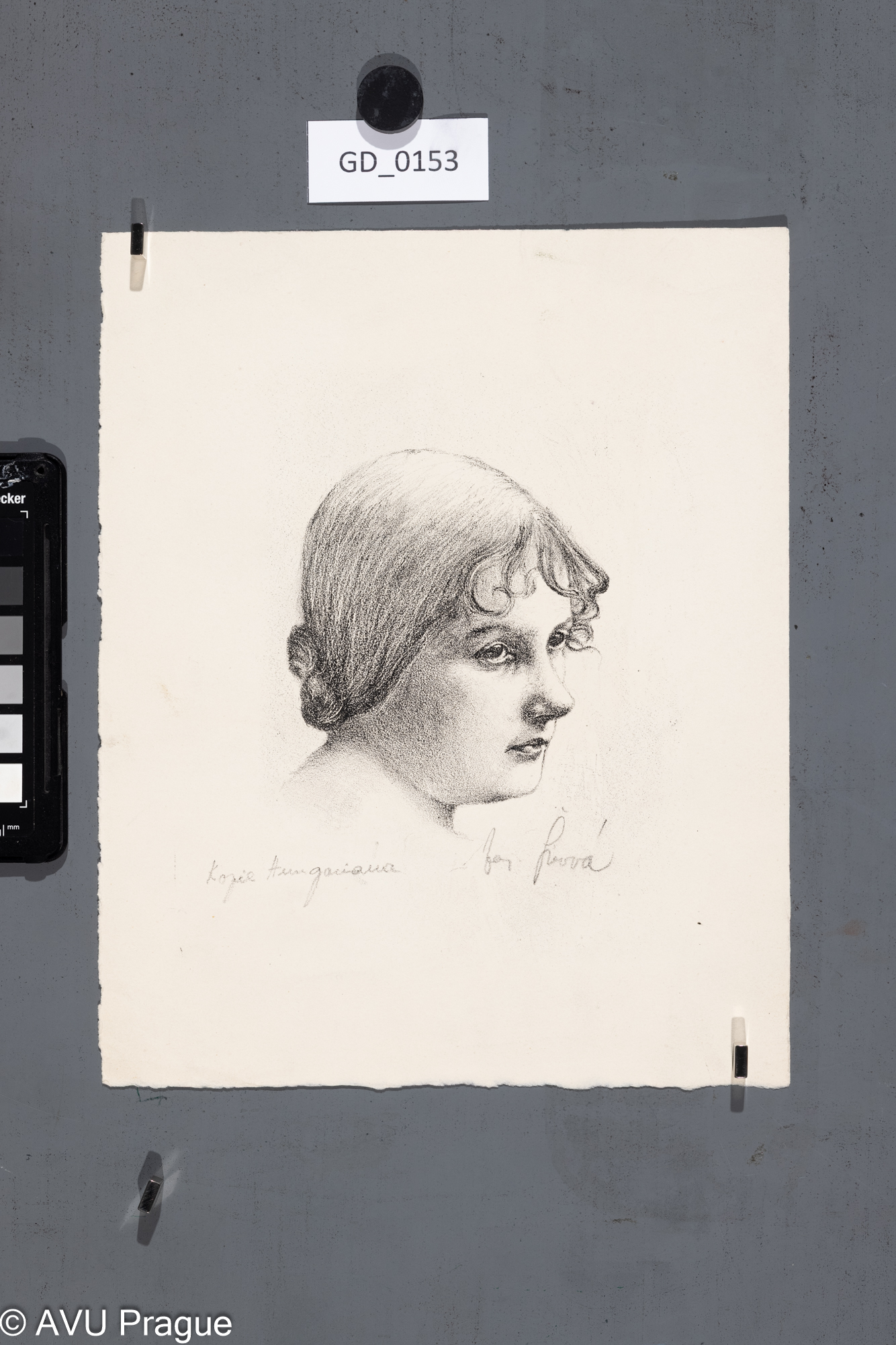 Jarmila Šírová (Dvořáčková);Kopie Hungariana; Litografie; 26 x 21; Silovský