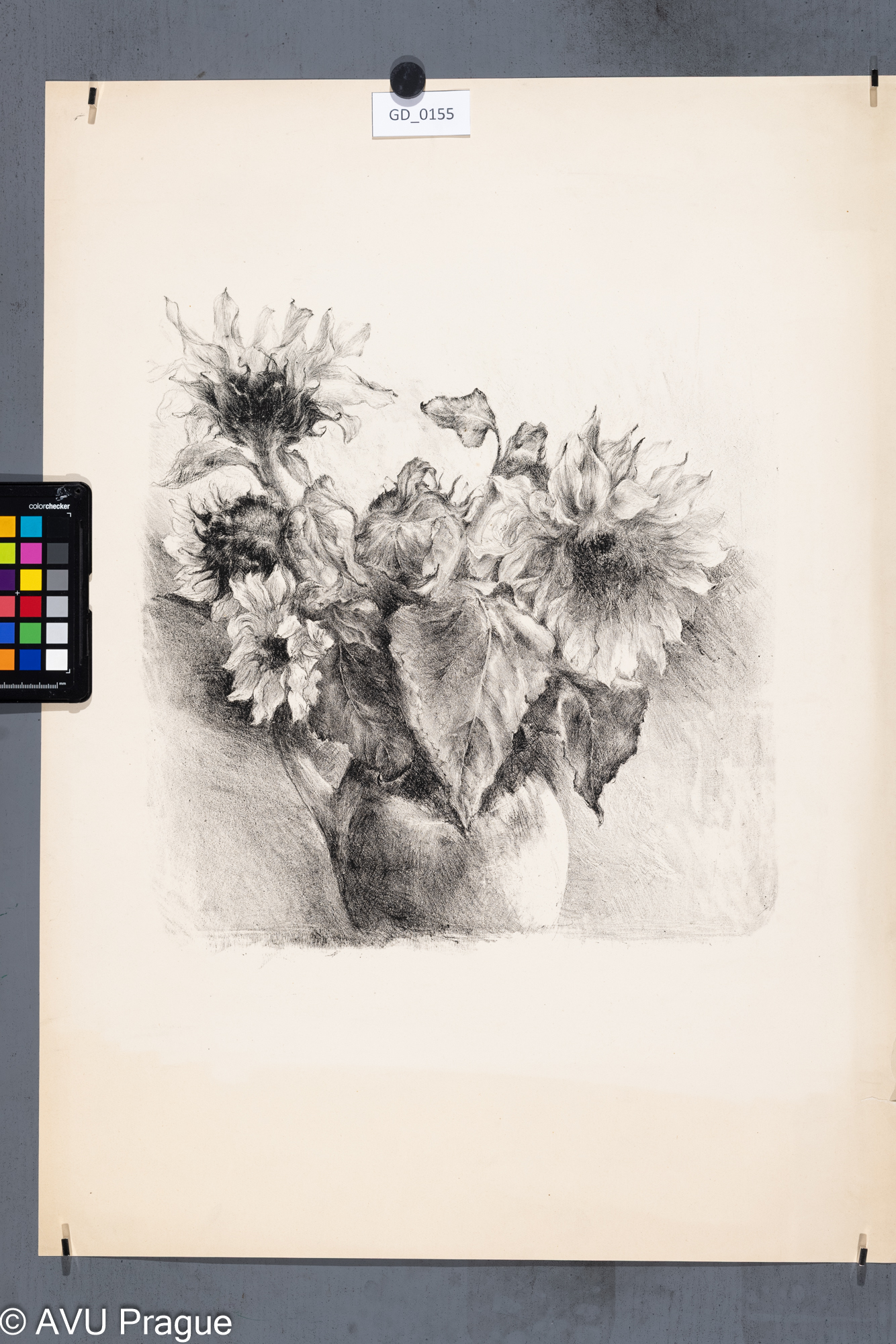 Jarmila Šírová (Dvořáčková);Slunečnice; Litografie; 37,5 x 36,5;66,5 x 48,2; Silovský