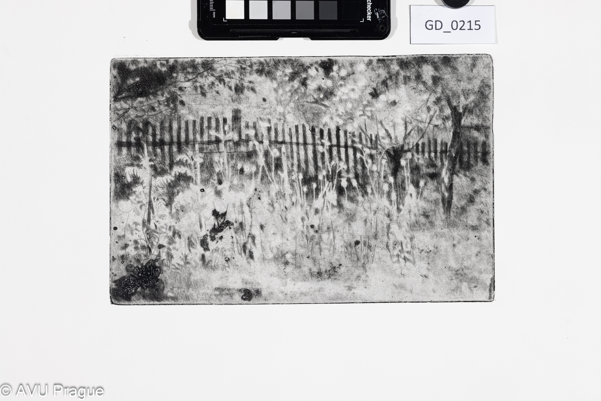 Jiřina Kubínová, Louka ?,Suchá jehla ,15,7 x 25, 50 x 35,Silovský, novotisk z originální matrice 2023 - revers - poničená