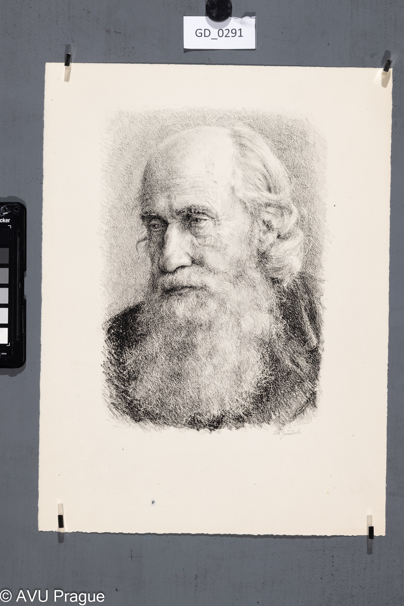 Zdeňek Jeřábek, Hlava vousatého starce, Litografie,24,5 x 17, 35,5 x 26,1, Pukl