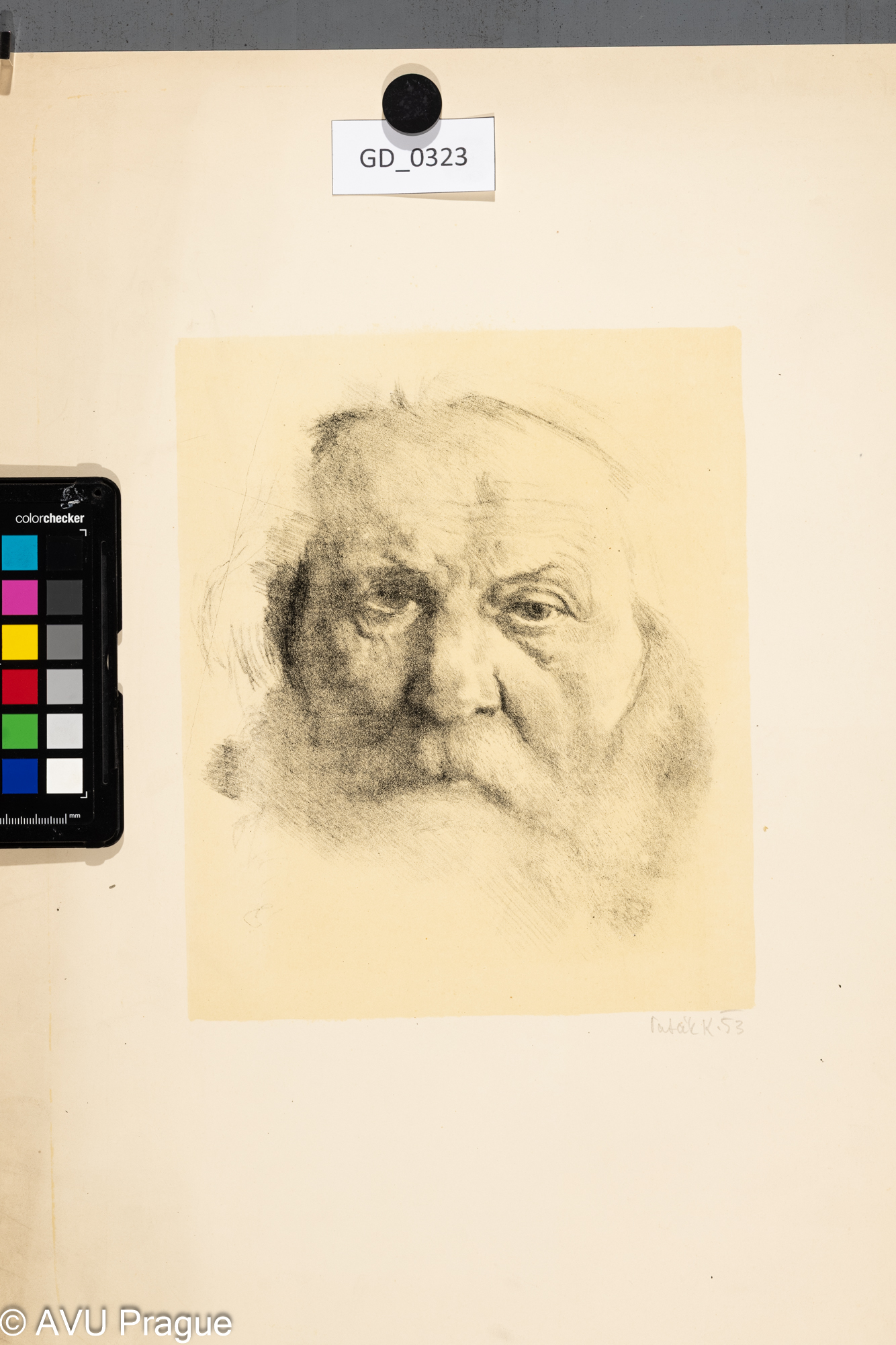 Karel Paták, Hlava starce, 1953,Litografie - podtisk, 23 x 19,1 ,48,5 x 34, 3 , Pukl