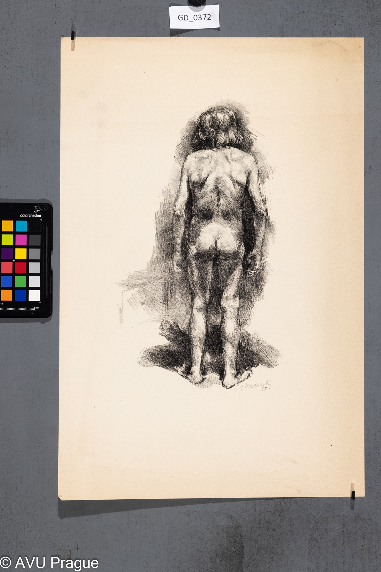 Jiří Kozlovský, Model - akt ze zadu, 1955, Litografie, 31,5 x 18,5, 49,8 x 33,3Pukl