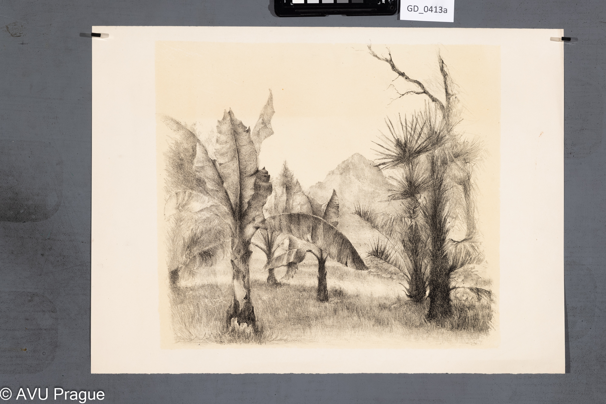 Neurčen, Krajina s banánovníky,Litografie - podtisk, 31,1 x 34,7,35,2 x 48