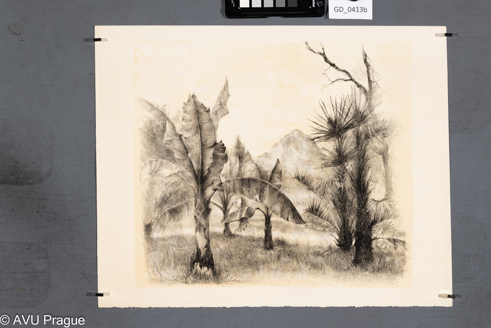 Neurčen, Krajina s banánovníky,Litografie - podtisk, 31,1 x 34,7, 35,2 x 44,5