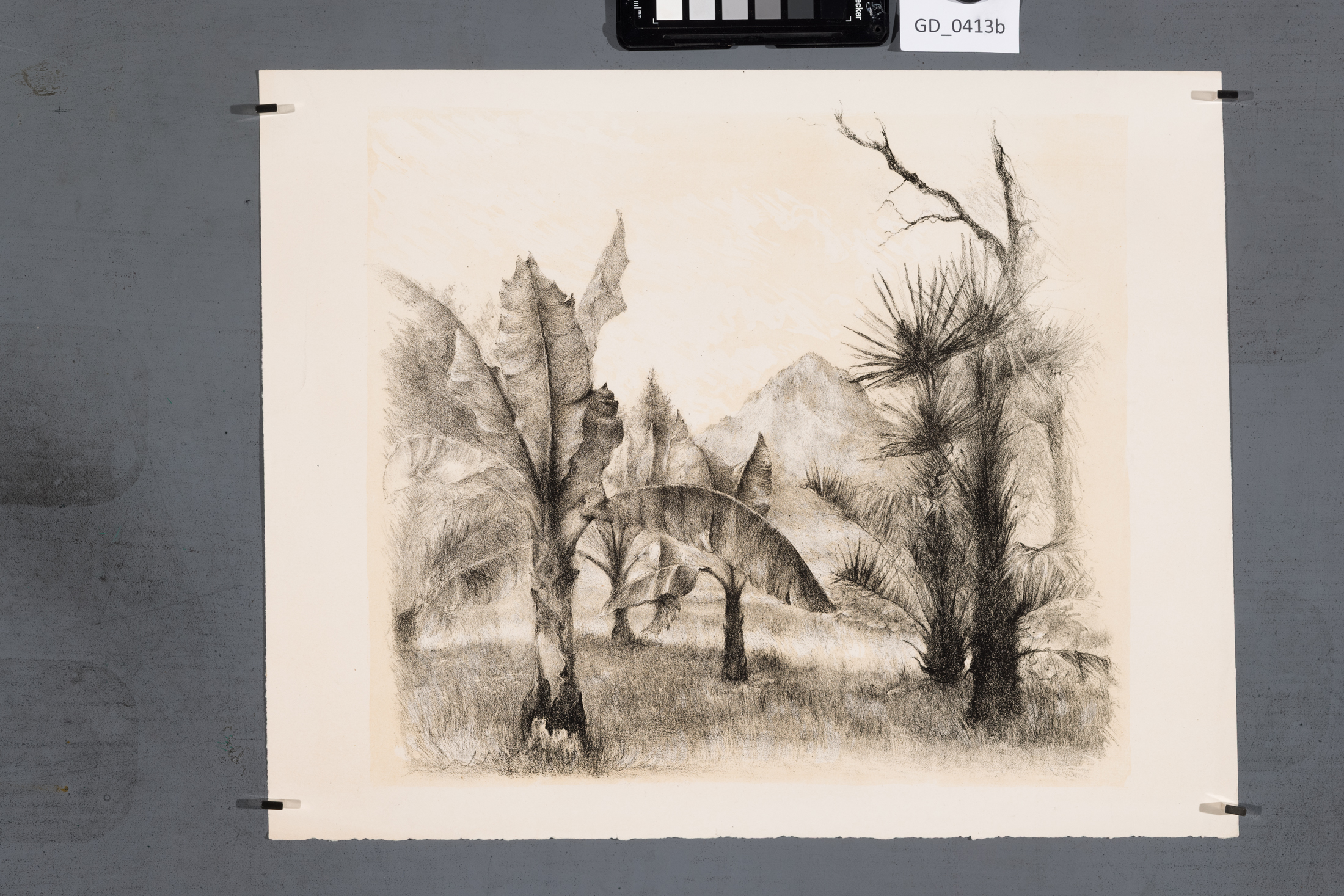 Neurčen, Krajina s banánovníky,Litografie - podtisk, 31,1 x 34,7, 35,2 x 44,5