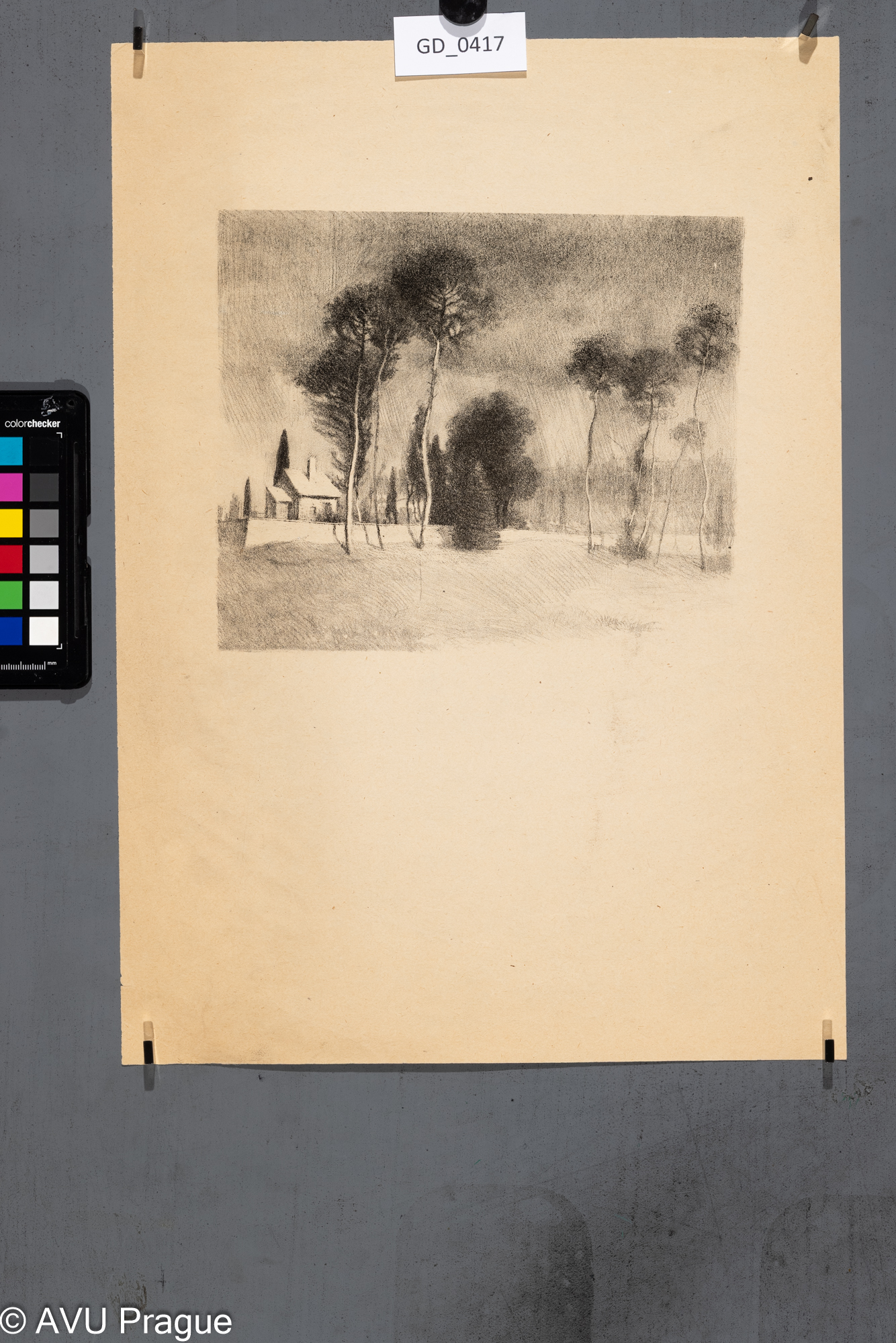 Neurčen, Krajina s borovicemi a domkem, Litografie, 18,4 x 21,3,43 x 30,5