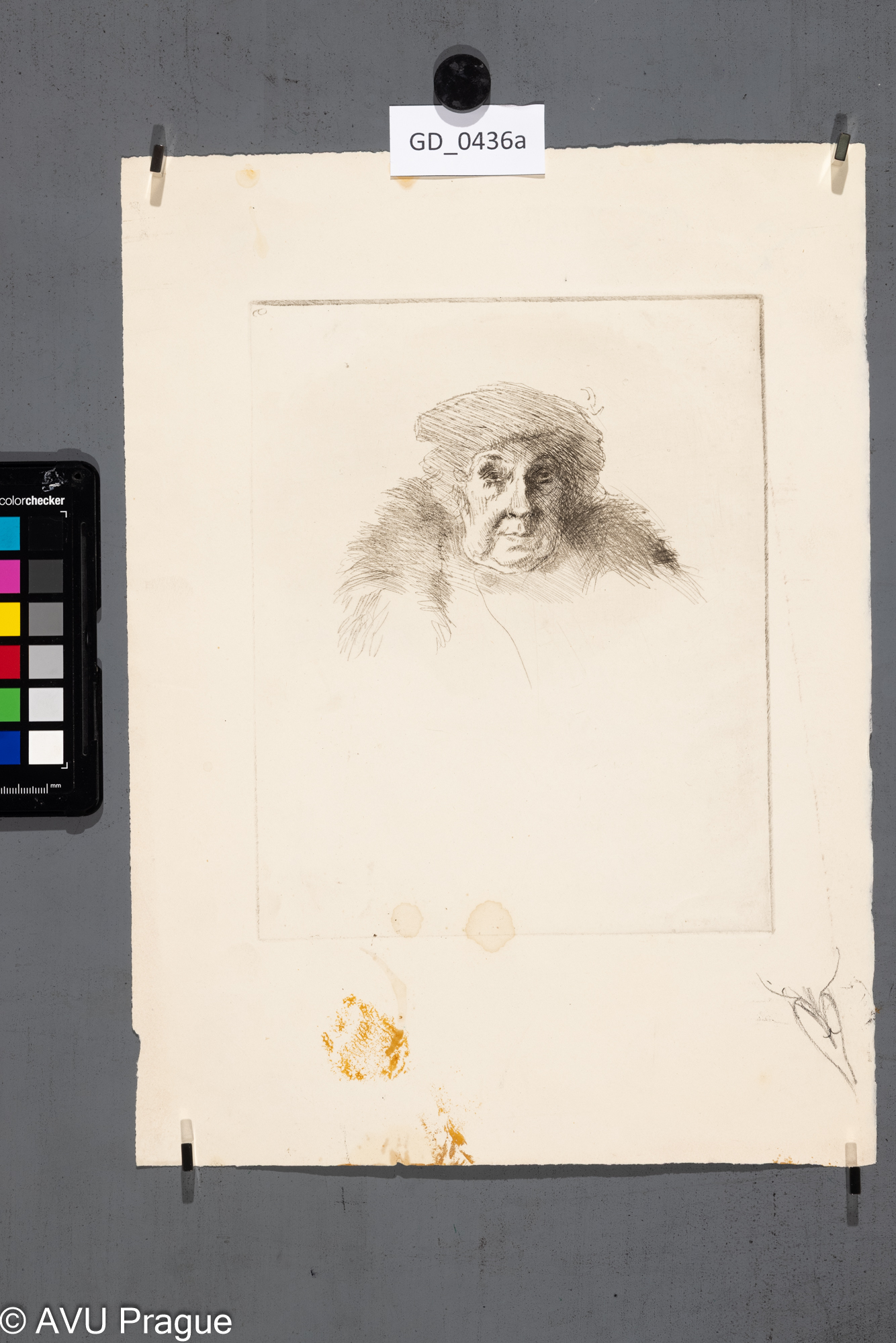 Neurčen, hlava staré paní,Lept, 22,5 x 18, 36 x 26