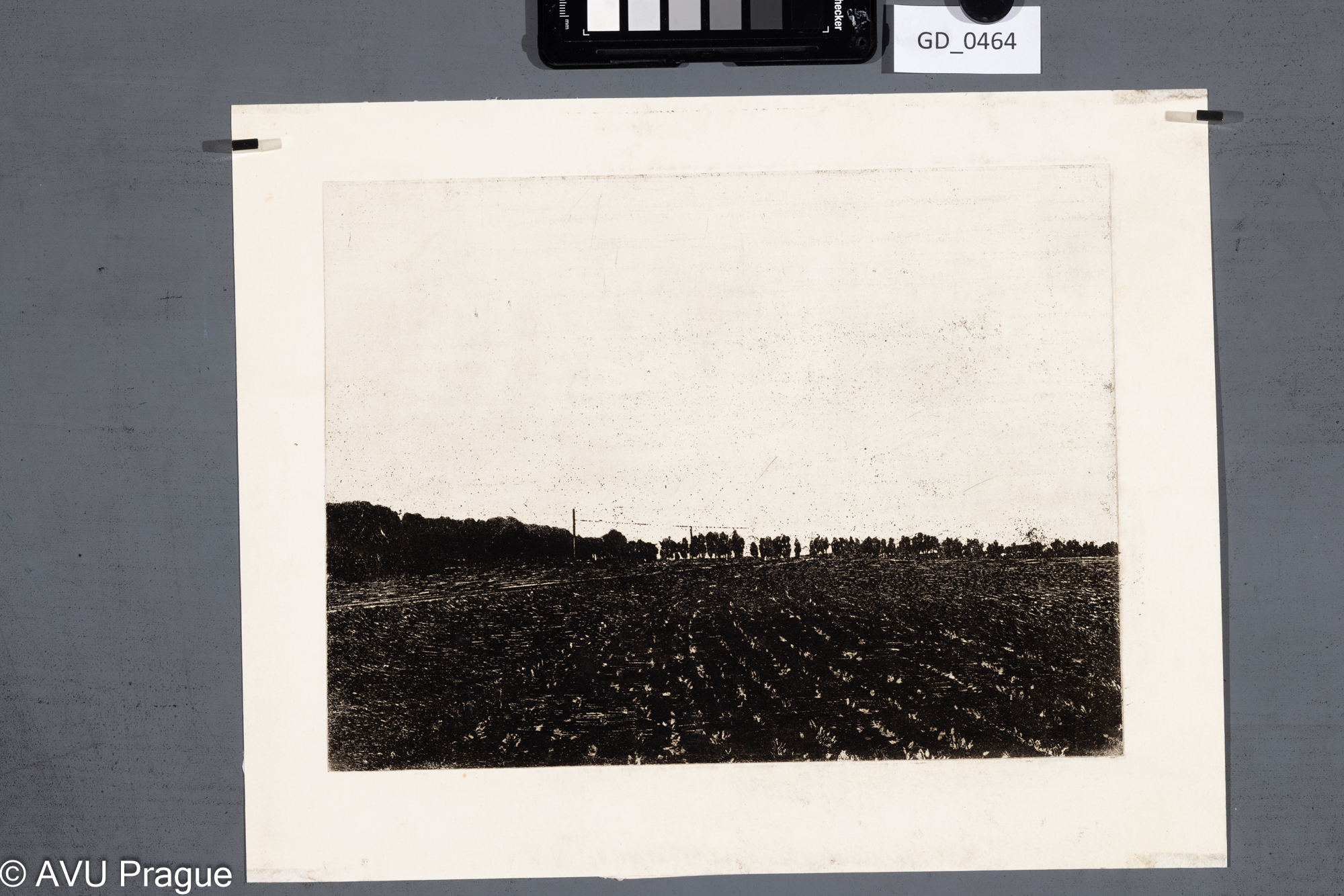 Nezjišten, Pole, Lept - prolept,21,9 x 29,4, 28,8 x 36,1