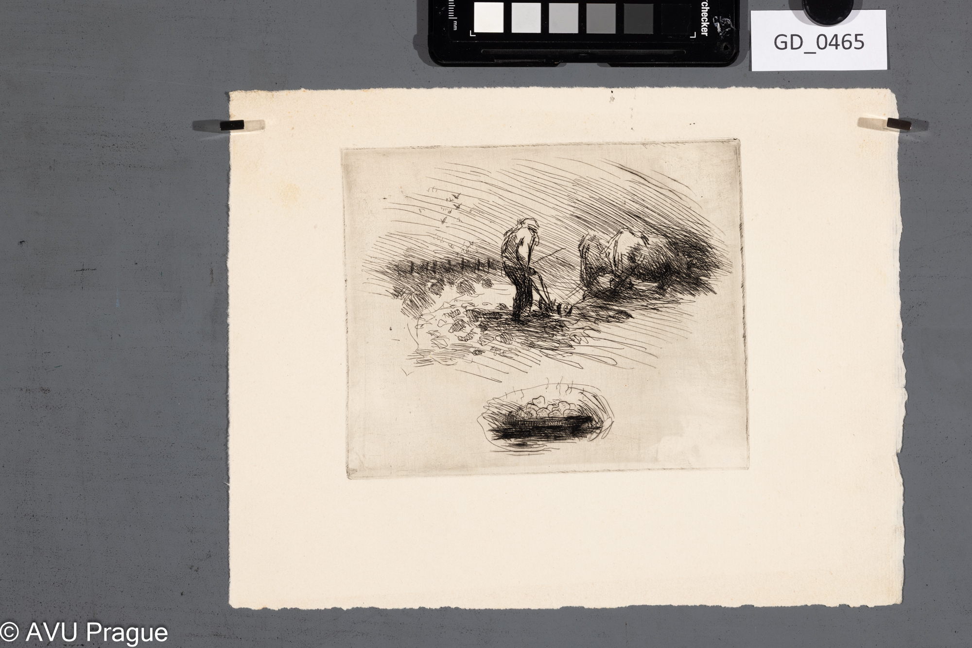 Nezjišten, Studie vyorávání a brambory, Lept, 13,3 x 16, 21 x 27