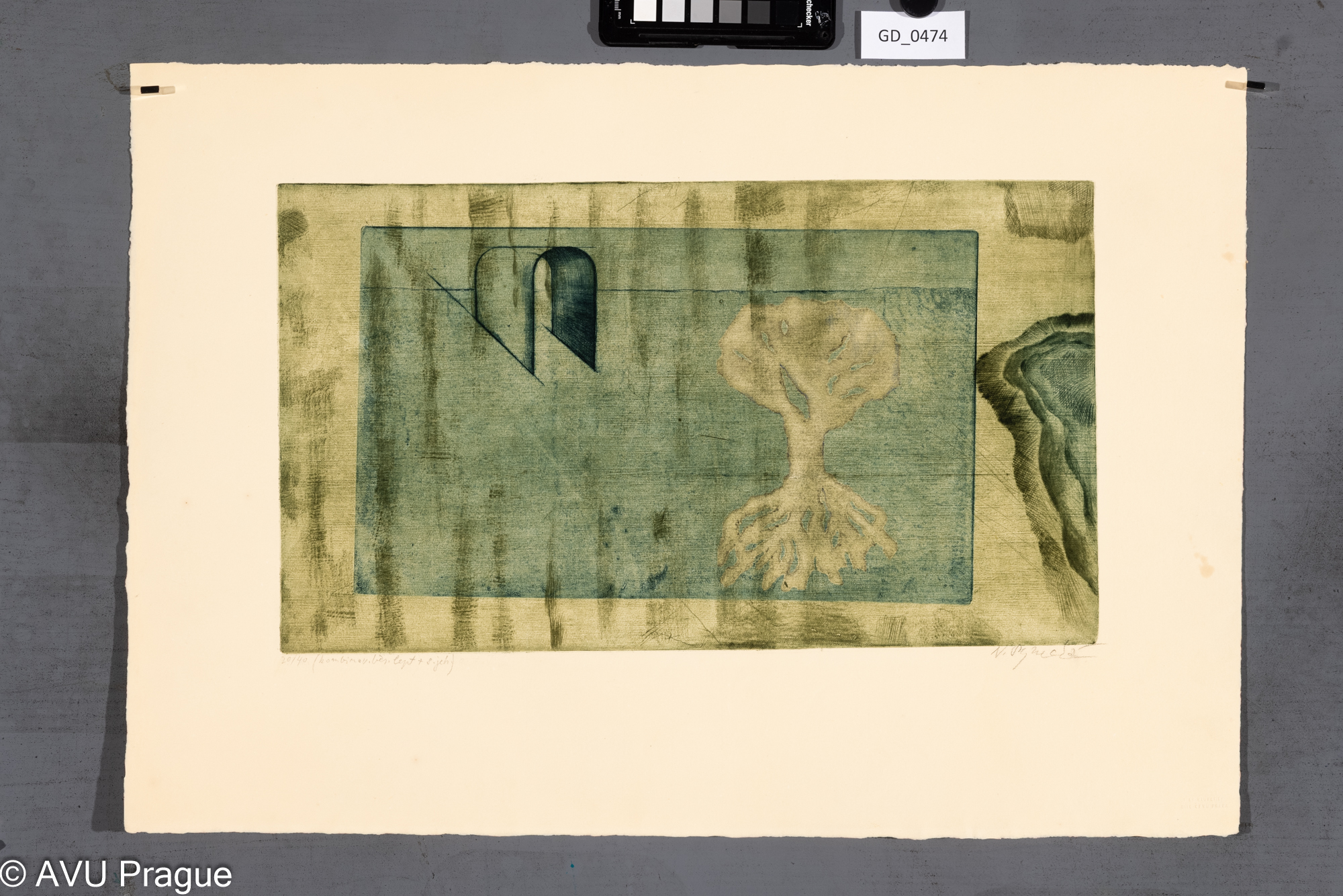 Naděžda Synecká, Volná rovina, Lept / suchá jehla,24,8 x 43,1, 40,7 x 58,7,Silovský20 / 40 - Tisk Hlubotisk Dílo-ČFVU Praha