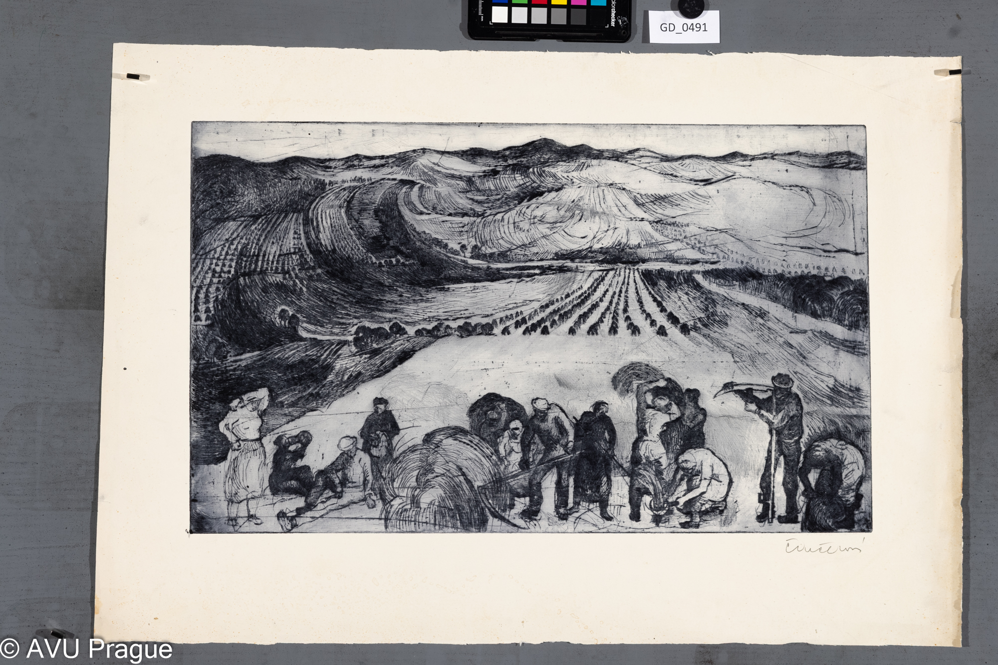 Eva Činčerová, Žně, Suchá jehla,31,4 x 52,3, 45,5 x 66,2Tittelbach