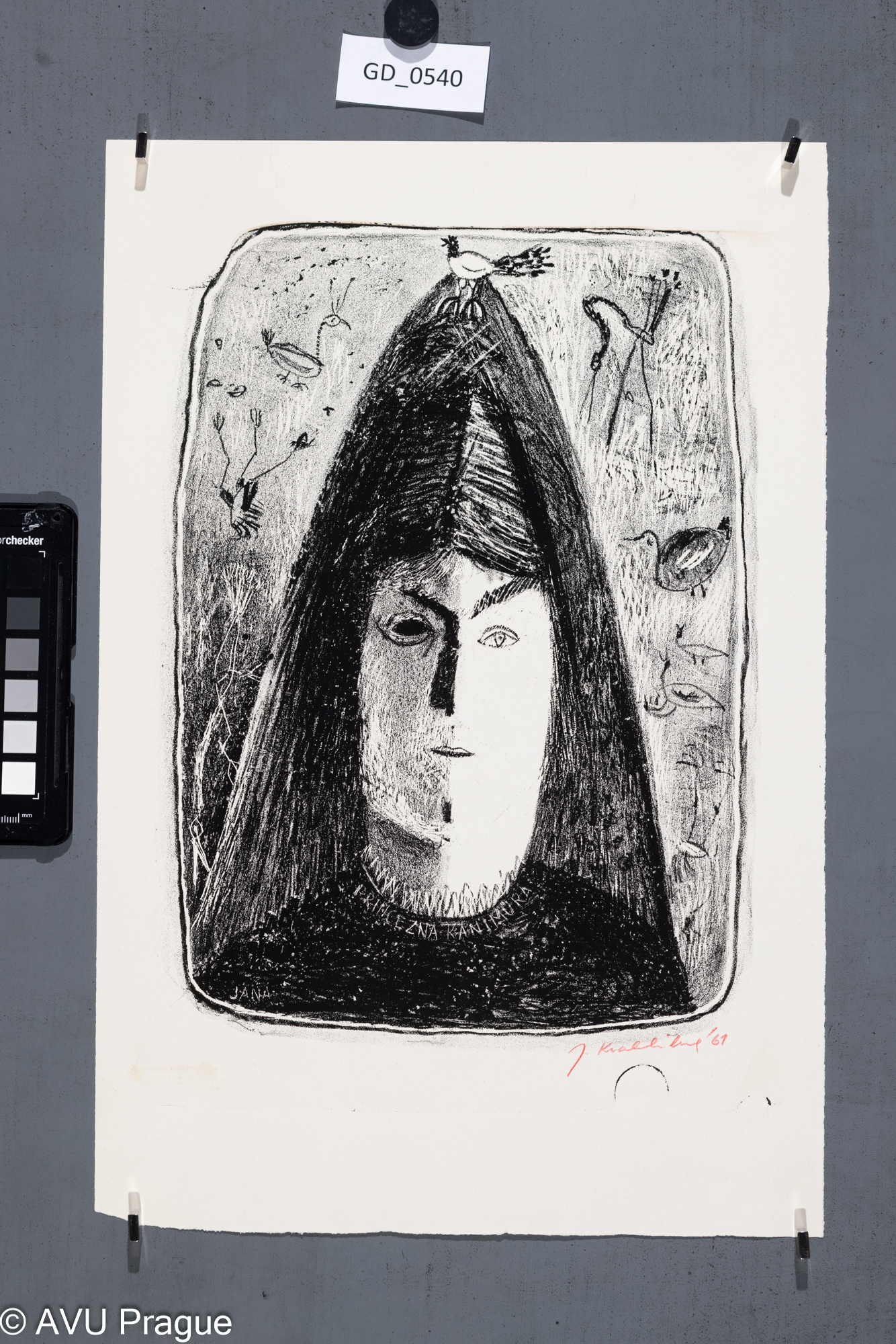 J. K, Ilustrace - hlava s ptáčkem,1961, Litografie, 30 x 22,40,1 x 26,4