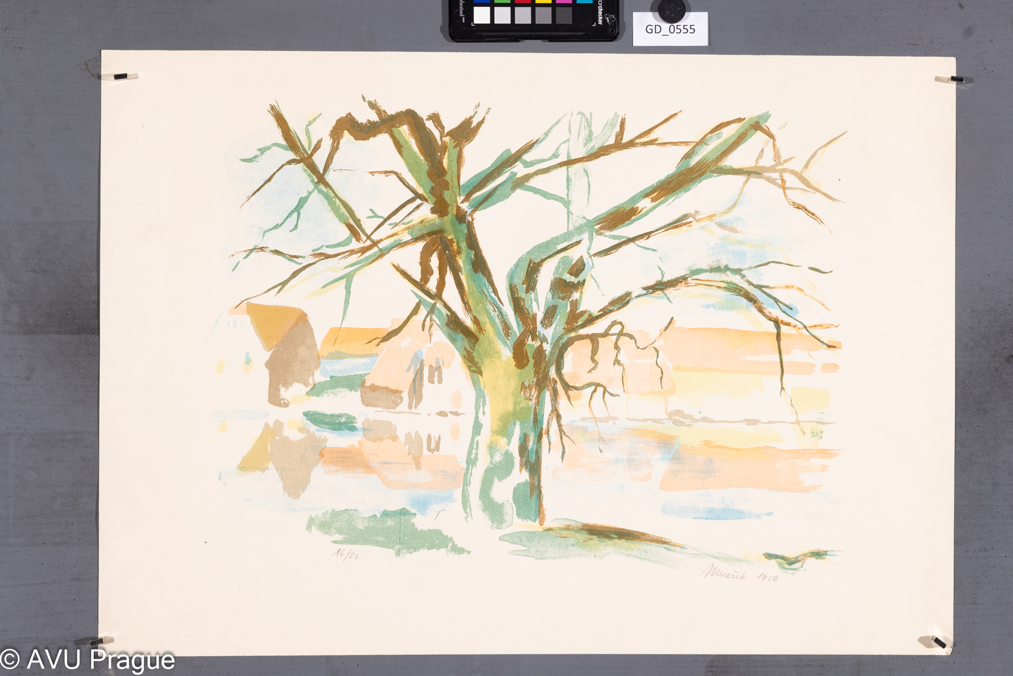 nezjišteno, Strom ve vsi, 1969,Litografie čtyřbarevná, 34 x 45,5,44 x 62,6