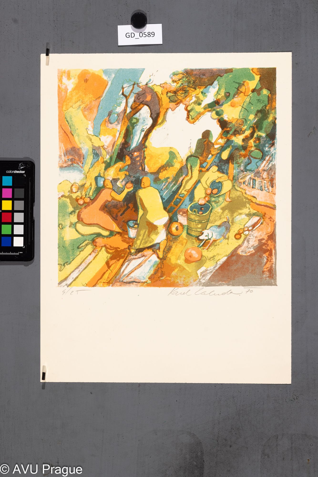 Karel Žaluda, Česači ovoce,1970, Litografie -4barvy, 27 x 27,2,41,2 x 31,1, Čepelák