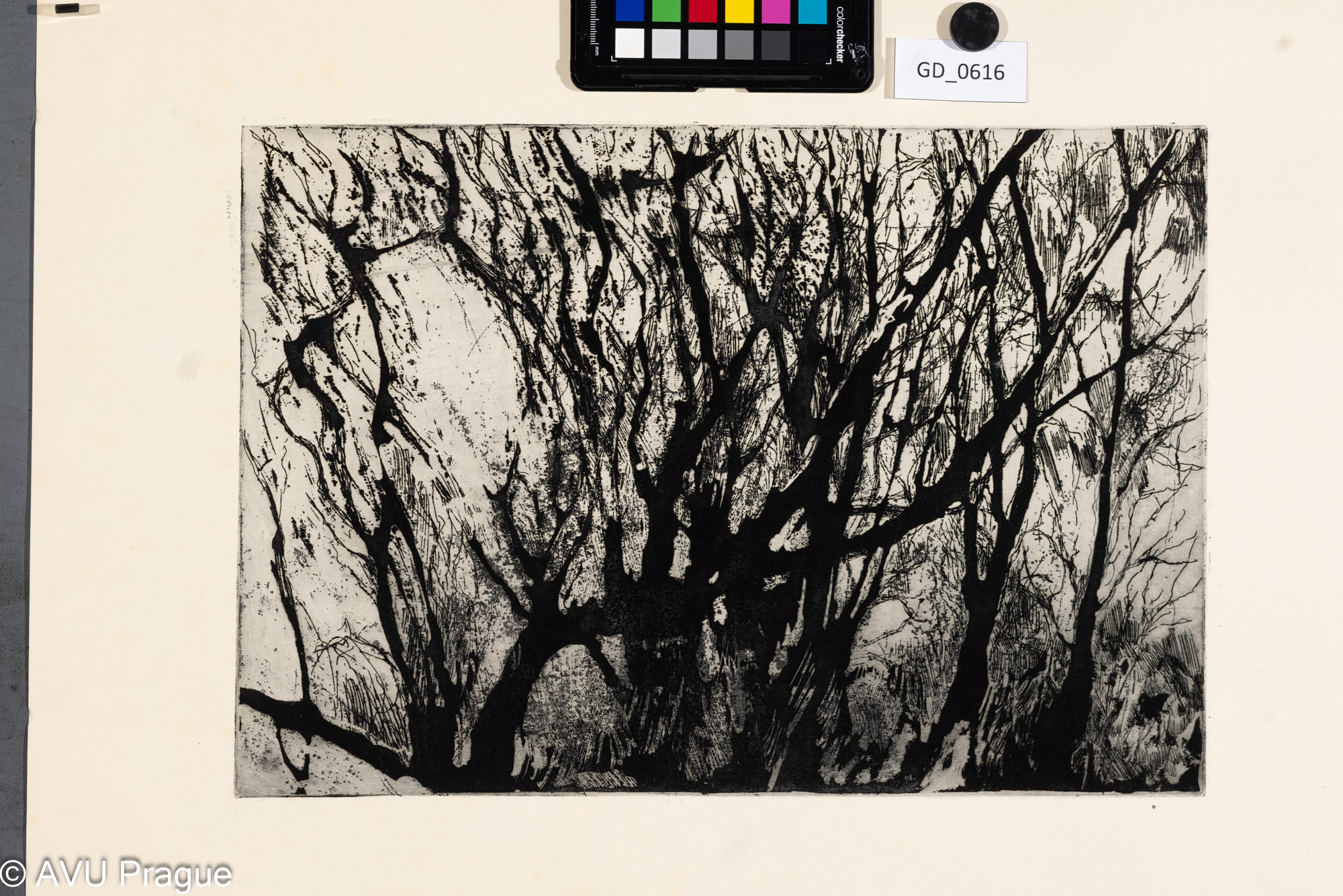 Vladimír Neuwirt ?, Stromy,Lept / rezerváž, 27,5 x 40, 43 x 55,7, Čepelák