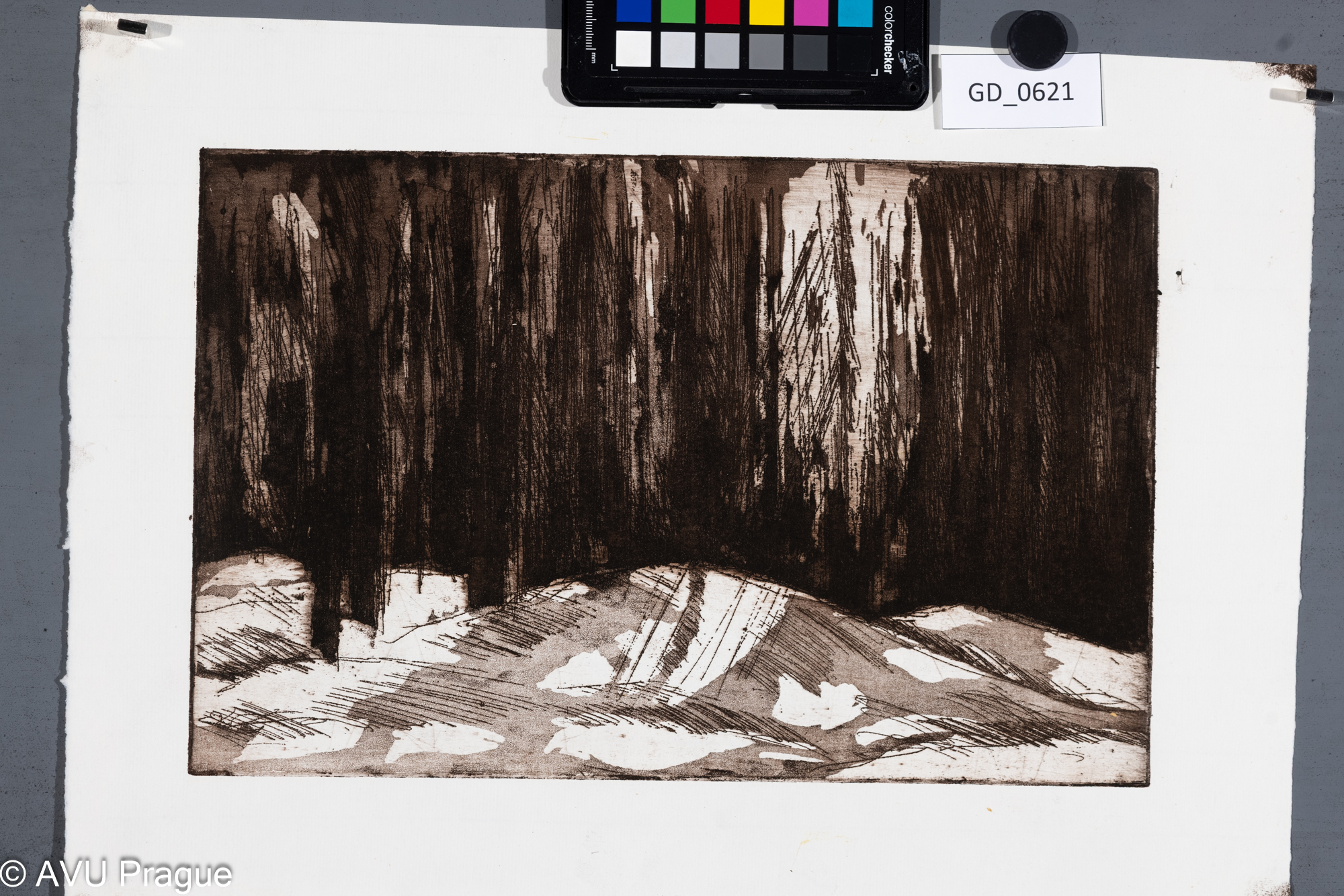 Vladimír Neuwirt ?, Les,Lept / akvatinta, 21 x 32,5,29,9 x 41,5, Čepelák