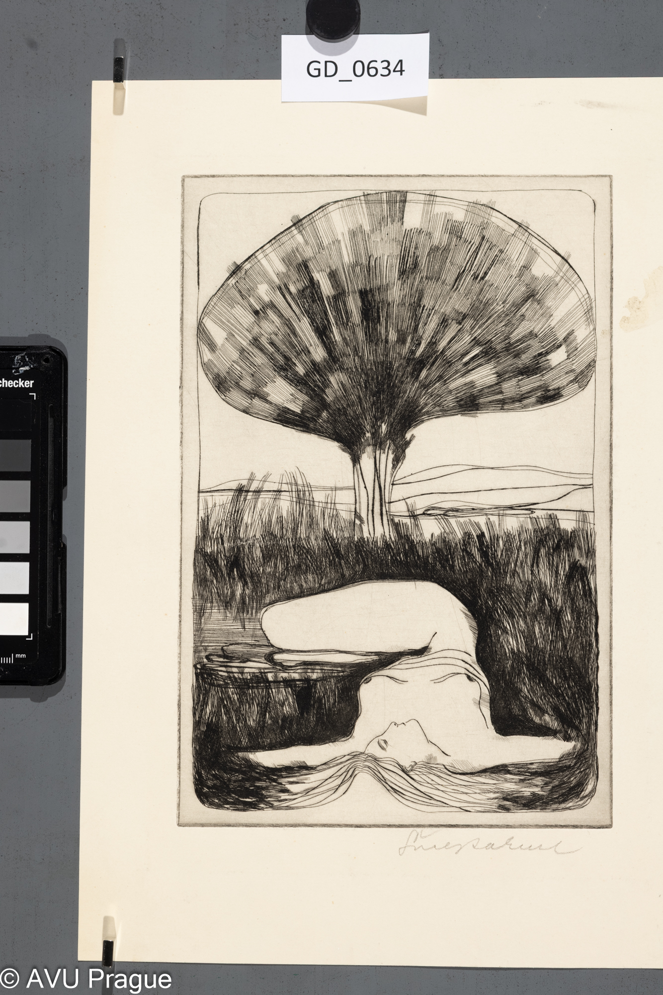 Emil Šmejkal, Ležící ženská figura pod stromem, Lept, 24 x 16,32,8 x 23,3, Čepelák