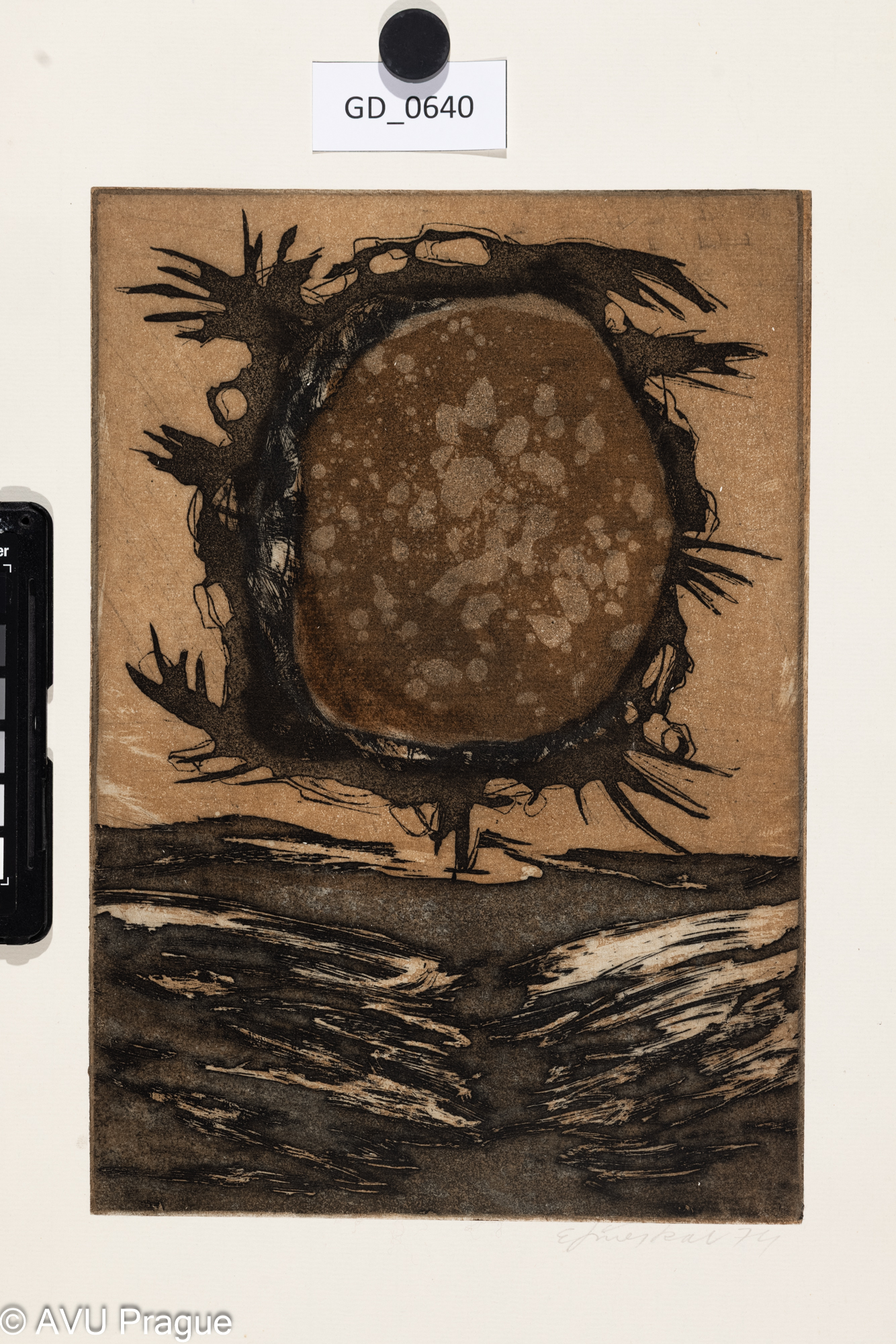 Emil Šmejkal, Slunečnice -diplom,1974, Akvatinta - dvě desky,29,1 x 20,1, 47,7 x 38,7, Čepelák