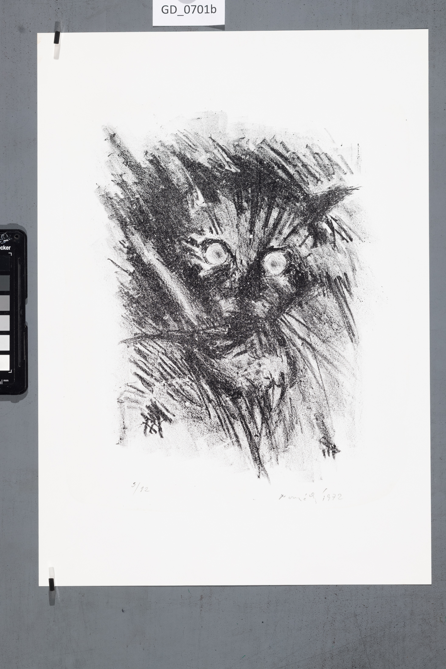 Zuzana Nováčková, Kočka, 1972,Litografie, 27,6 x 21, 42 x 29,6,Čepelák