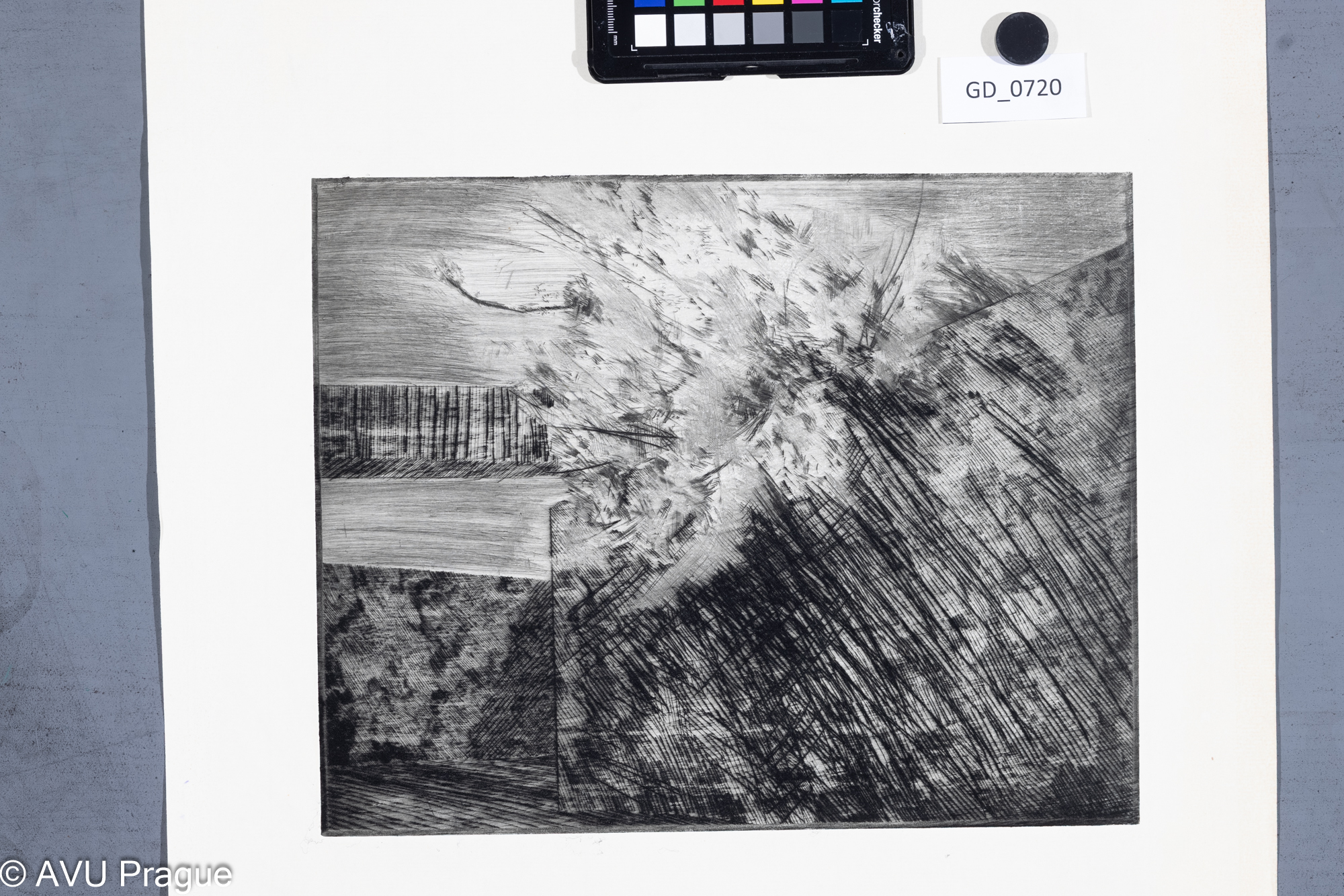 Zuzana Nováčková, Strom u zdi, 70. léta, Suchá jehla , 25, 3 x 31,4,58,1 x 42,3, Čepelák