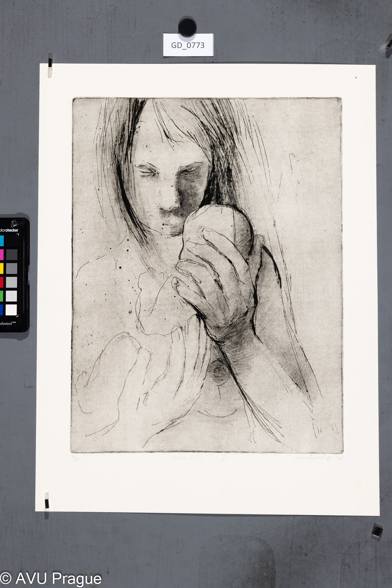 Martin KadlecMatka VI1979Lept, suchá jehla38,9 x 29,749 x 37,3Čepelák