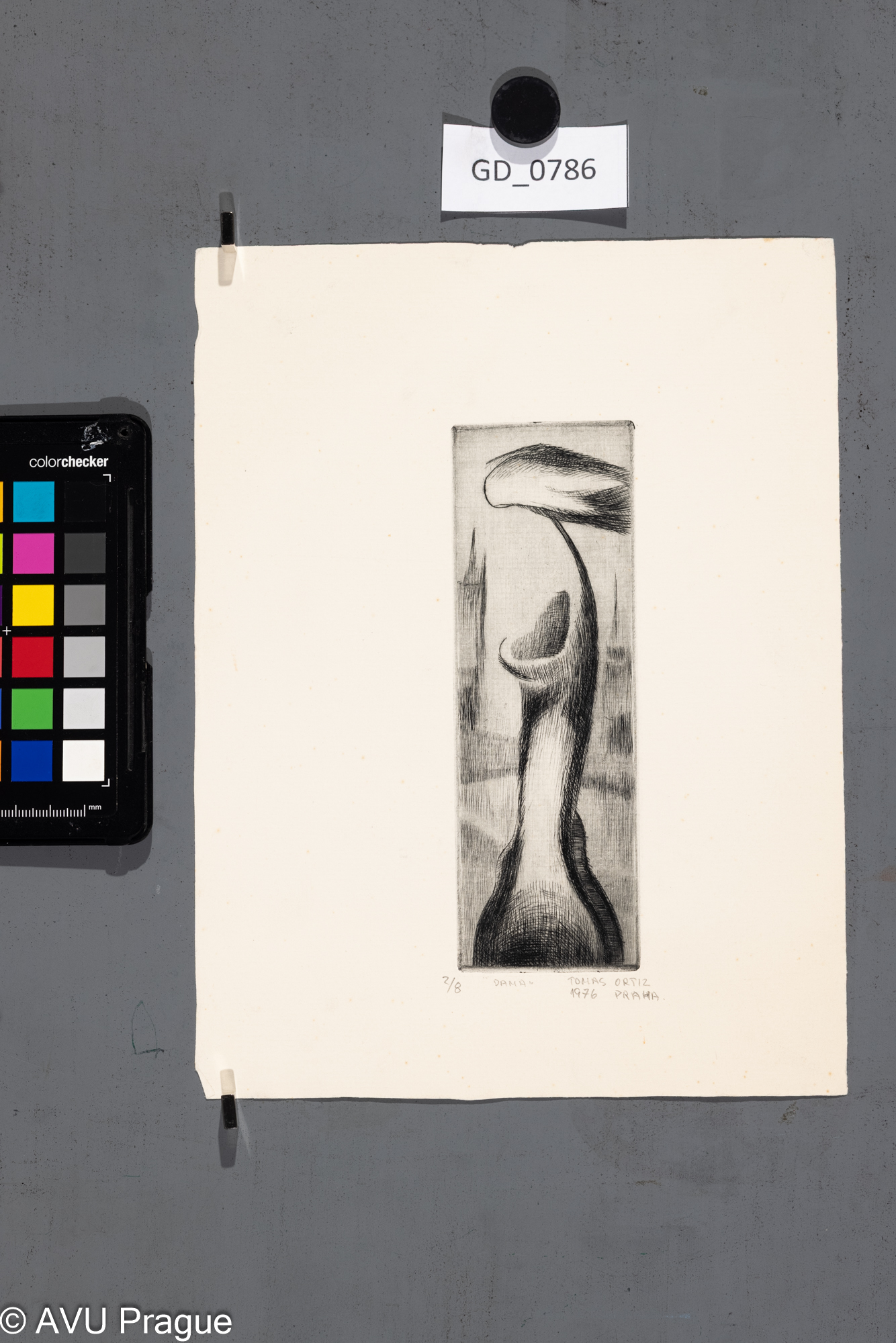 Tomas Ortiz, Dáma, 1976, Suchá jehla, 15,8 x 5,2, 24,9 x 18,3, 
Čepelák (zahraniční stážista)