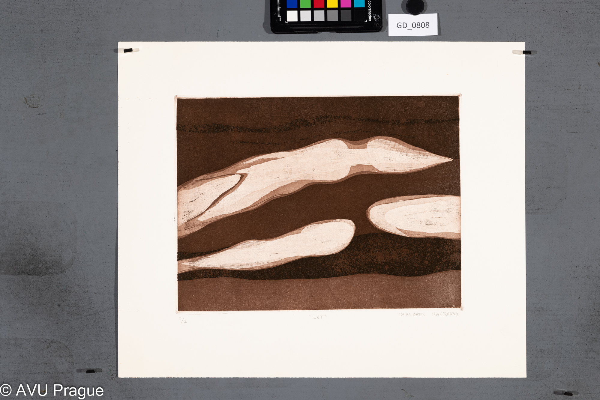 Tomas Ortiz, Let, 1977, Lept / akvatinta, 24,5 x 32, 37,6 x 45,7,
Čepelák (zahraniční stážista)