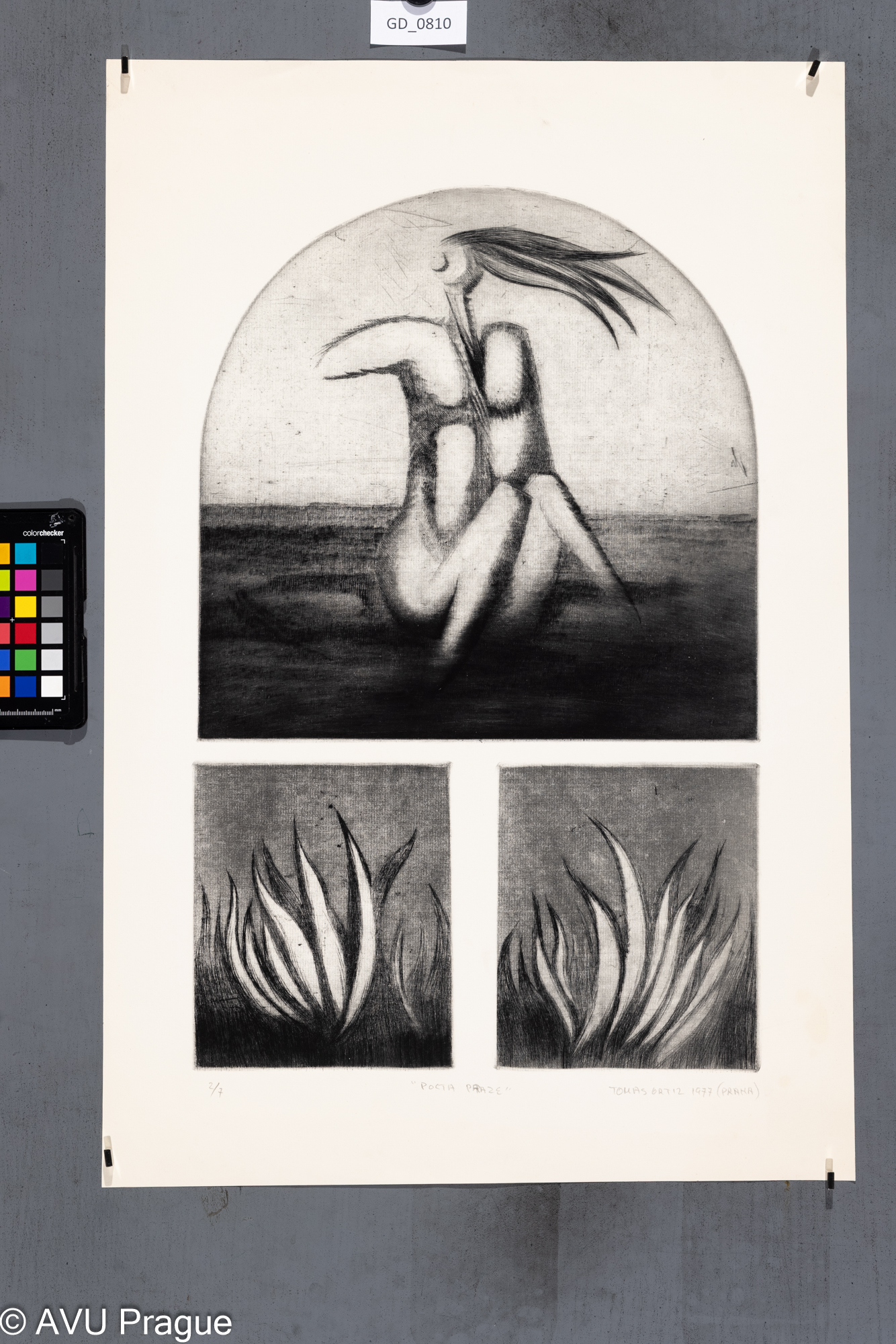 Tomas Ortiz, Pocta Praze, 1977, Suchá jehla, 50,3 x 32,2,63,7 x 42,5,
Čepelák (zahraniční stážista)