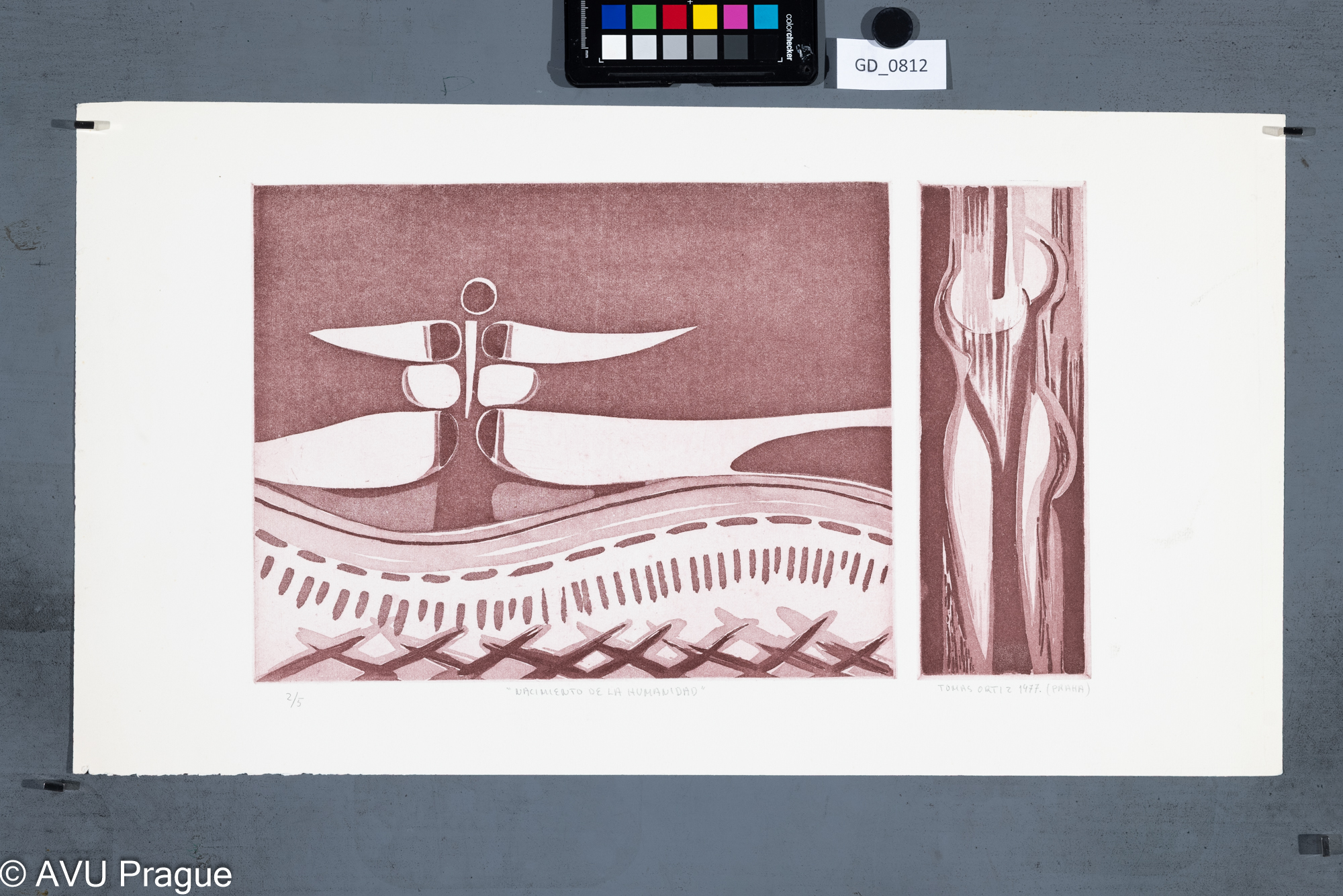 Tomas Ortiz, Zrození lidstva,1977,  Akvatinta, 24,9 x 41,5,33,2 x 59,8,
Čepelák (zahraniční stážista)