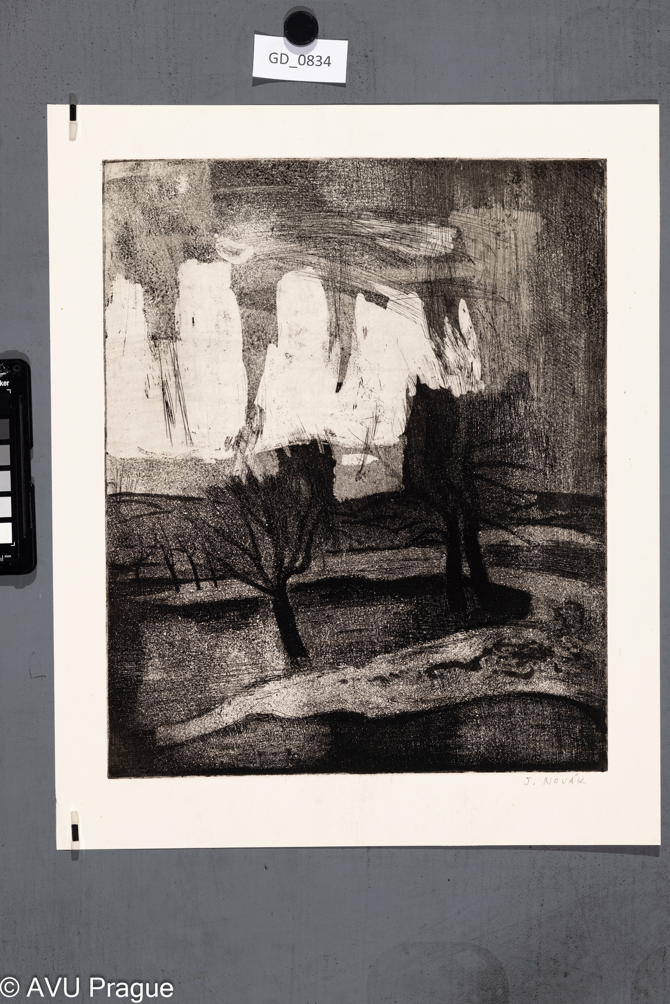 Jiří Novák, Krajina se stromy, 70. léta, Lept / akvatinta, 36 x 29, 43,2 x 35,Jiroudek