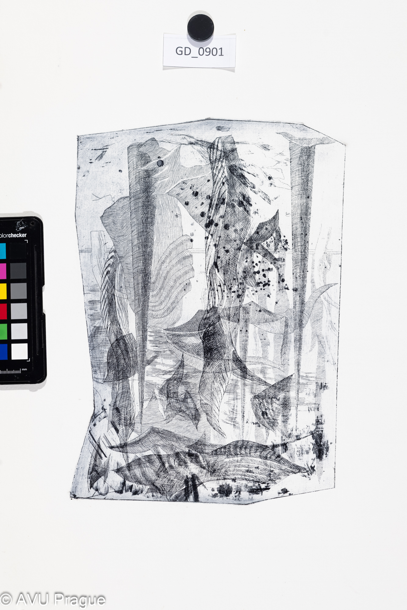 nezjištěno, ilustrace - atyp matrice - abstrakce, Lept, 28,8 x 20, 58,8 x 41,8