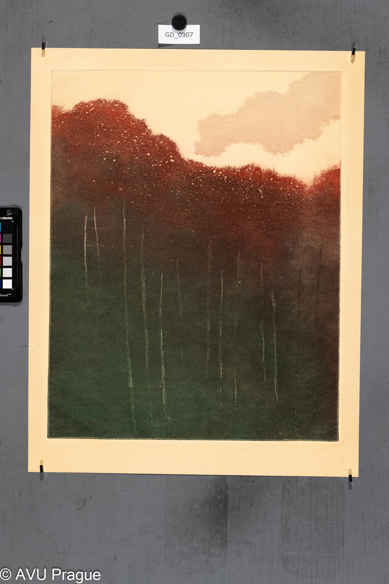 nezjištěno, Červenozelený les - gradient, Akvatinta - škrábaná,48,5 x 38,5, 56 x 43,4