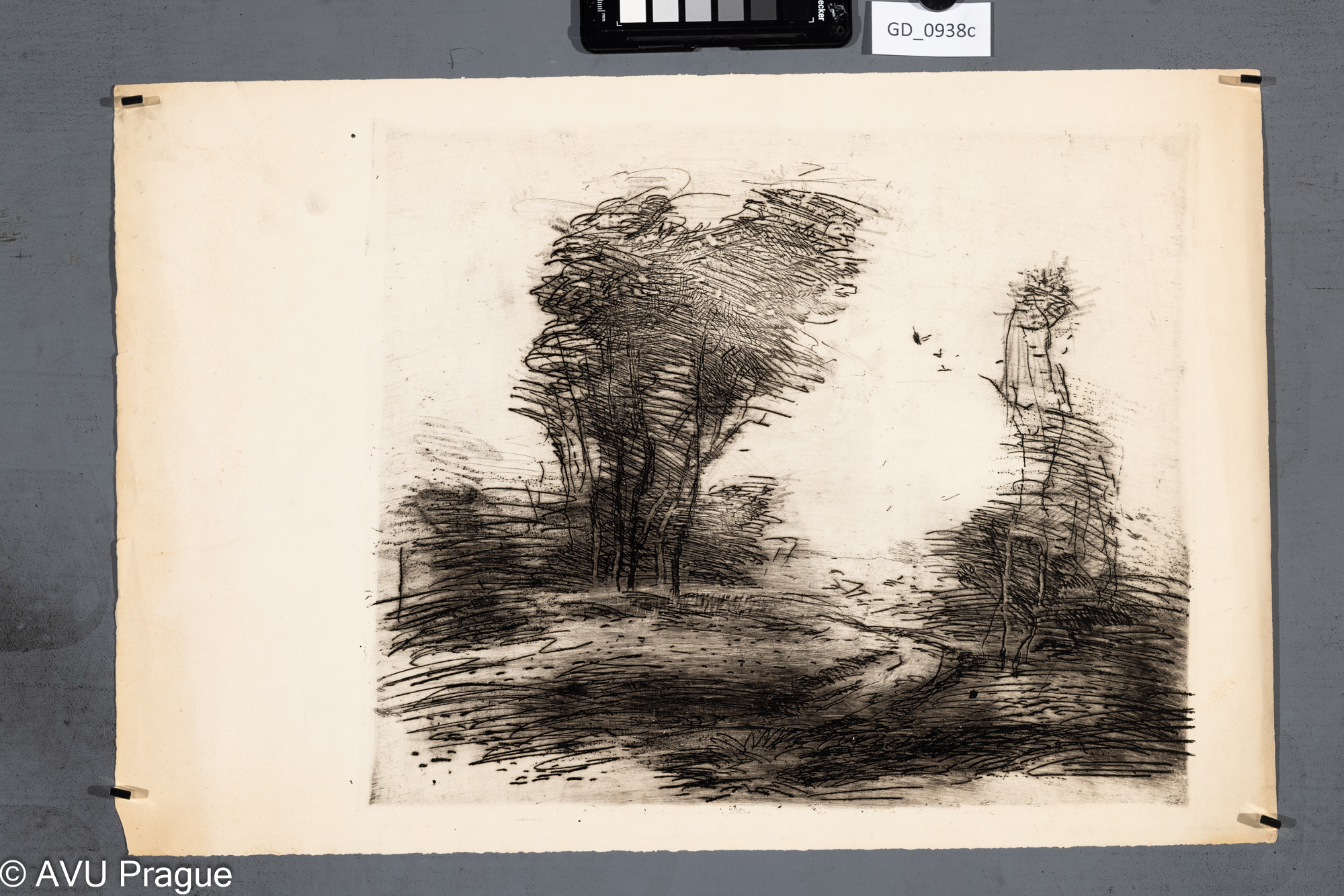 nezjištěno, Cesta se stromy,Lept, 32 x 38, 35,8 x 52,7