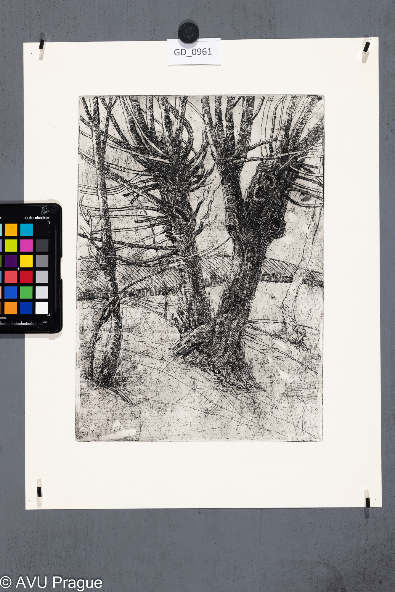 nezjištěno, Vrby, Lept, 33,3 x 23,3, 45,2 x 34,2