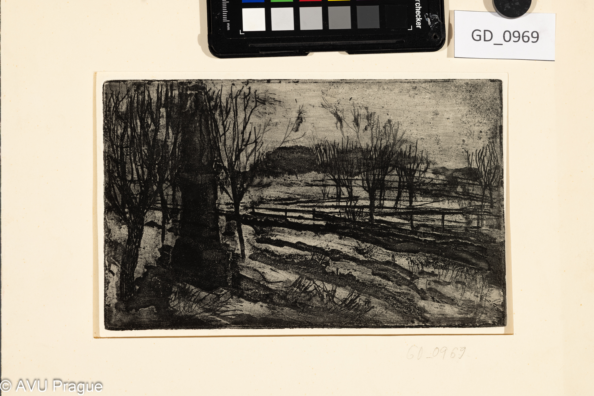 Neurčeno, Krajina - pole a stromy, Akvatinta, 13 x 21,2, 21,8 x 29,9,