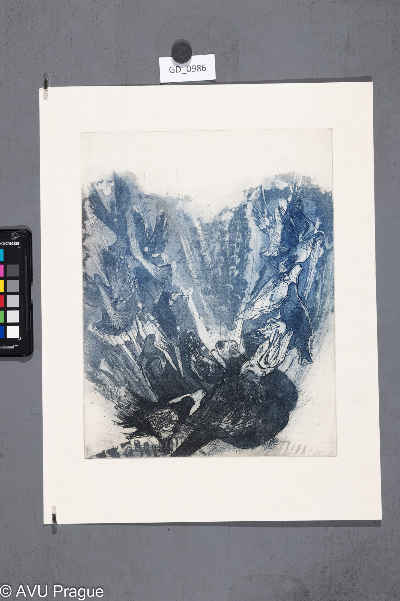 Neurčeno, Holubi, Lept / akvatinta32 x 24,8, 42,9 x 33,