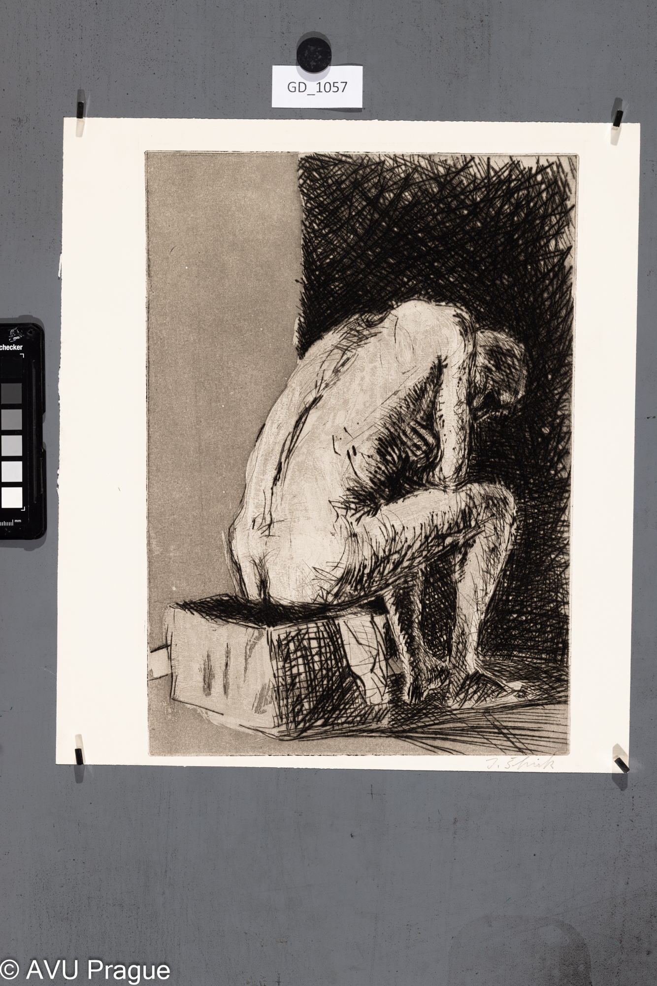 Ivan Špirk, Model - záda,Suchá jehla / Měkký kryt, 35,1 x 24,5 , 37,6 x 33,3, Čepelák