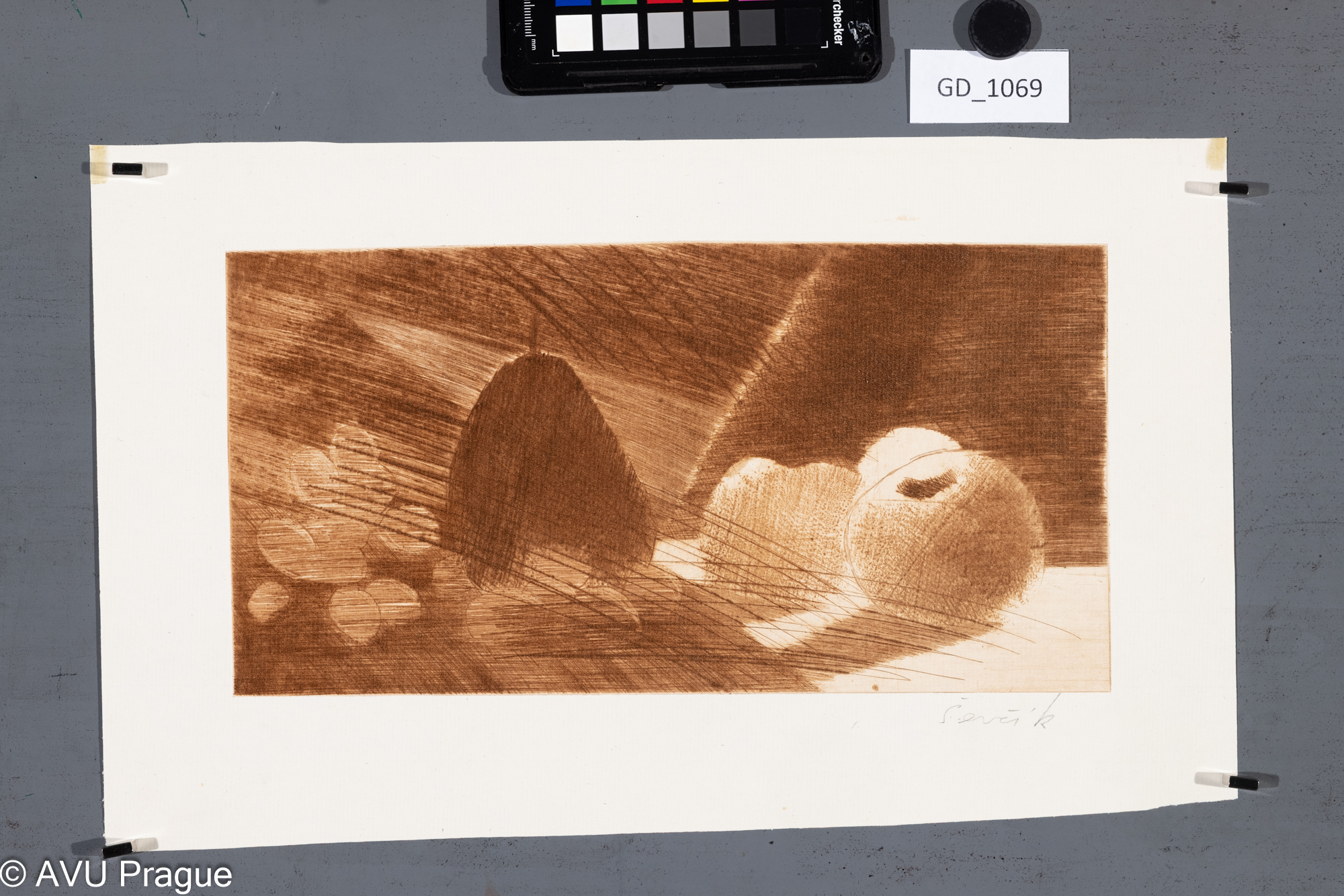 Vratislav Ševčík, zátiší s ovocem,Suchá jehla, 14,5 x 28,8, 22,1 x 37,4, Čepelák