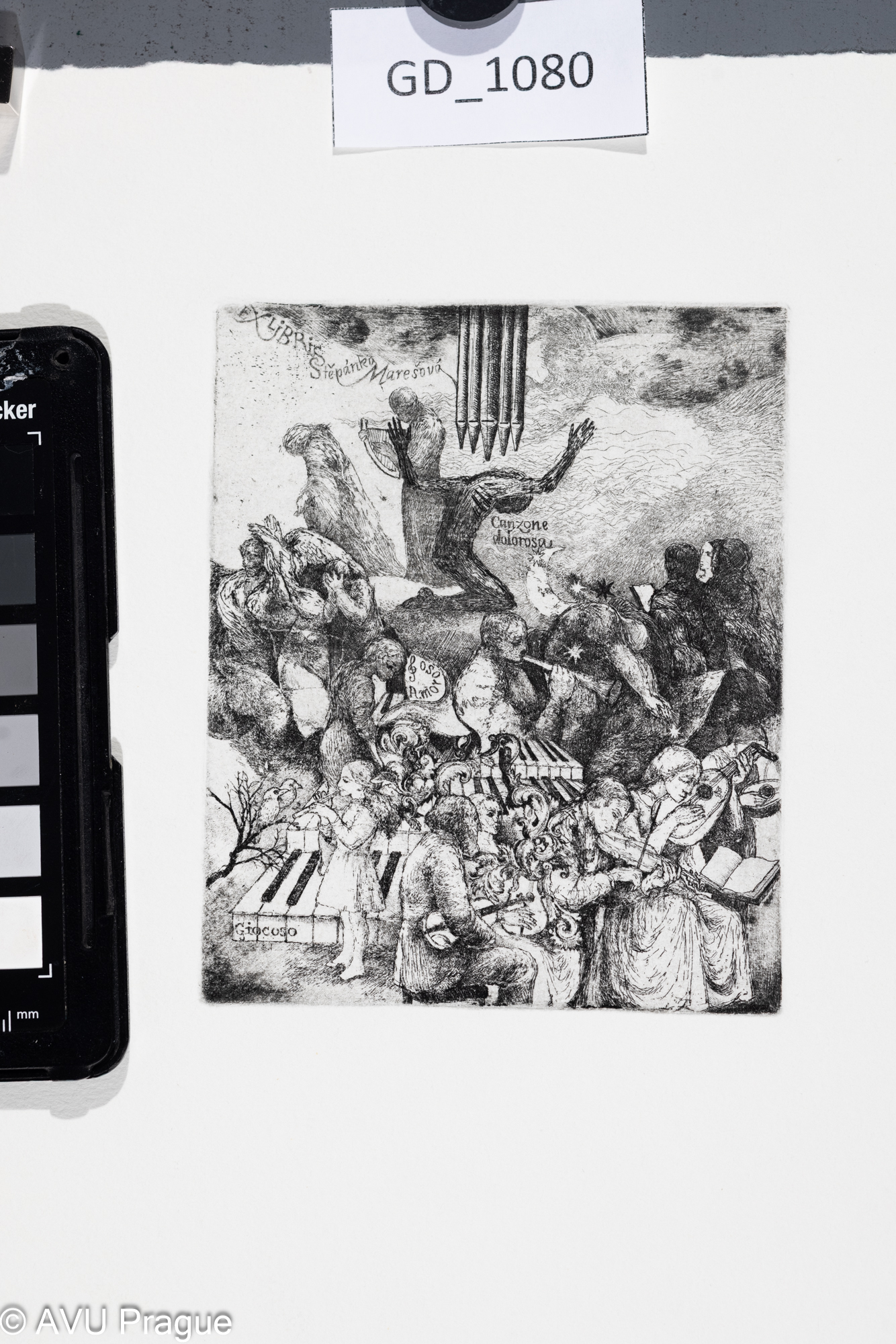 Ivana Kantůrková, Ex libris Śtěpánka Marešová, Lept / suchá jehla, 11,3 x 9,6, 26,2 x 19,8,Čepelák