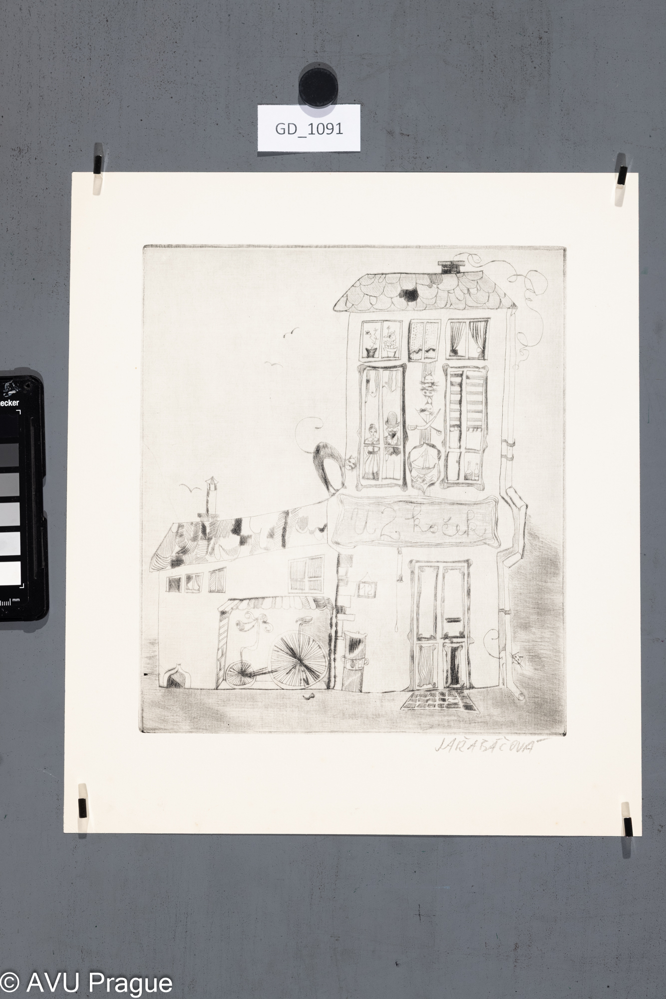 Radana Jařabáčová, Dům U 2 koček, Suchá jehla, 24,9 x 21,7,30,7 x 29,3, Čepelák