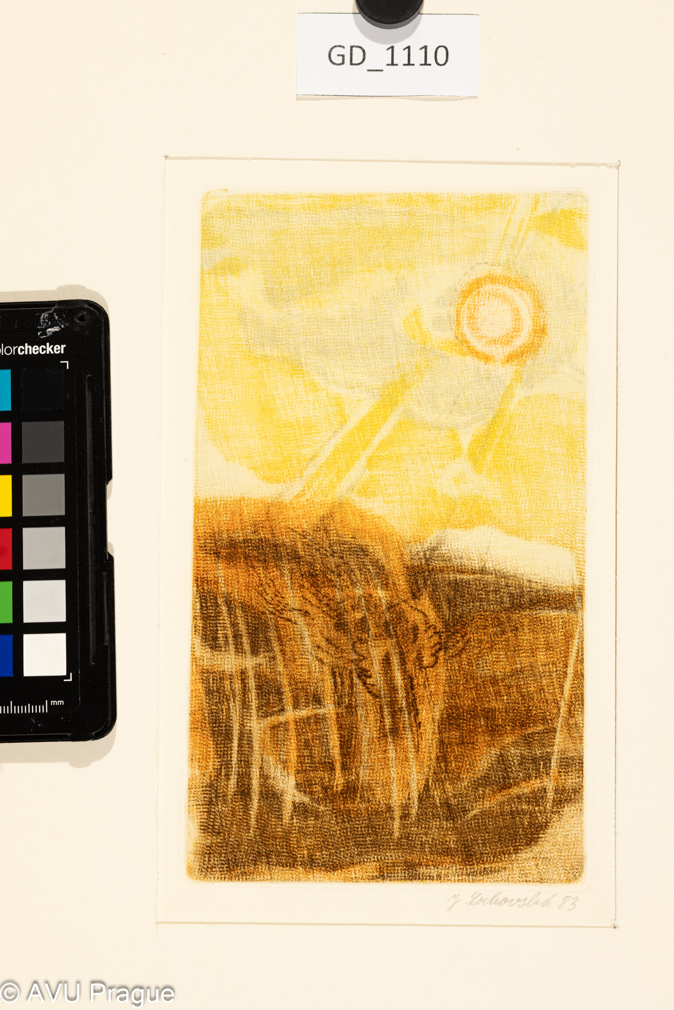 Jana Lochovská, Pole a slunce, kohout, 1983, rytina skoblinou- soutisk , 19,3 x 11,3, 33,2 x 22,2,Čepelák