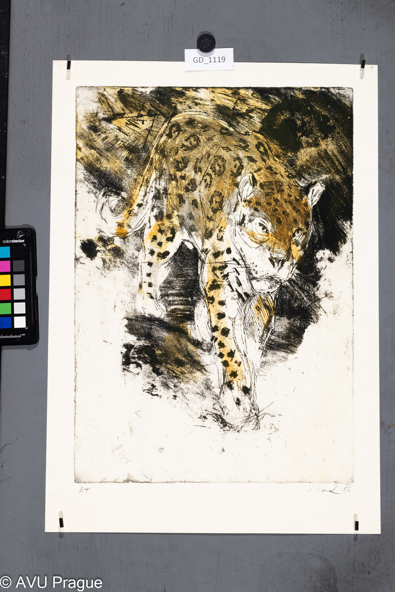 Petr Novák, Leopard,1986, Lept / akvatinta - soutisk barva,          
42,6 x 29,2, 50,4 x 35,4,