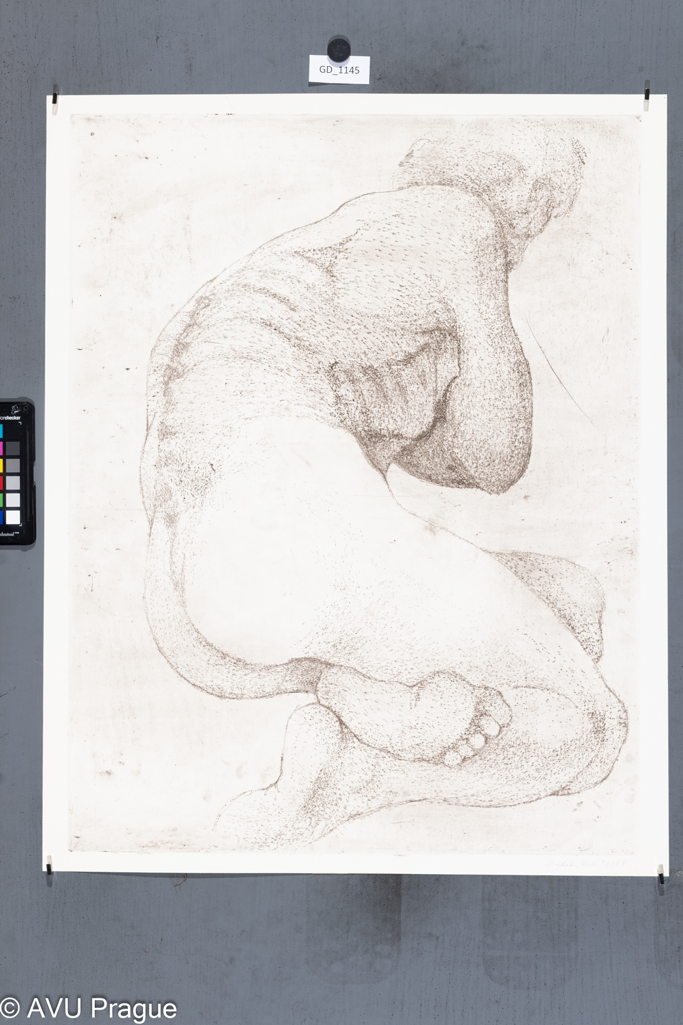 Magdalena Vovsová, Z cyklu  Model (Honěk),1979, Suchá jehla, 64,4 x 49,8,  68 x 54,5, Čepelák