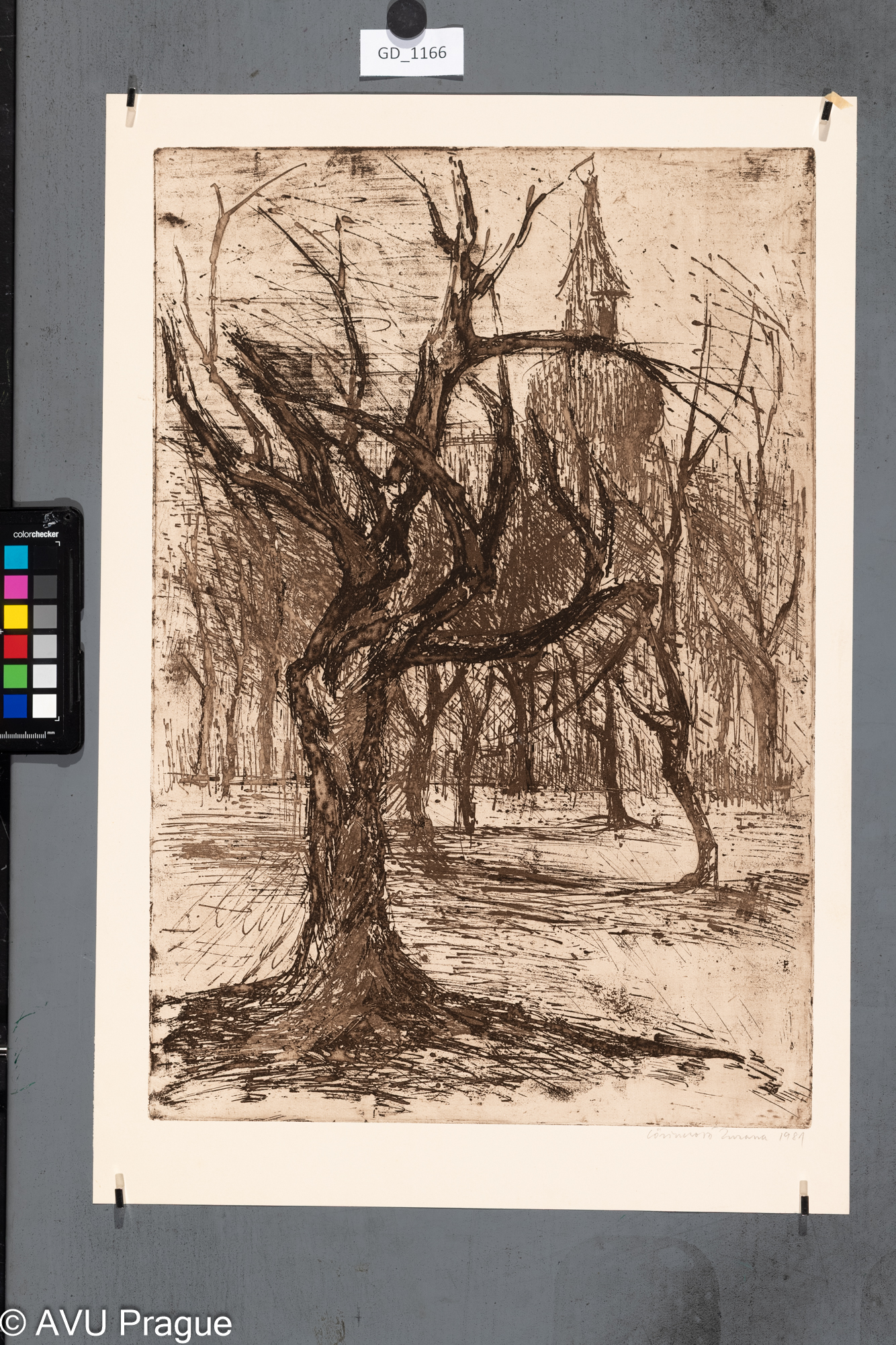 Zuzana Lörinczová, Stromy, 1981, Rezerváž, 49,3 x 33,2, 56,1 x 37,9,Čepelák